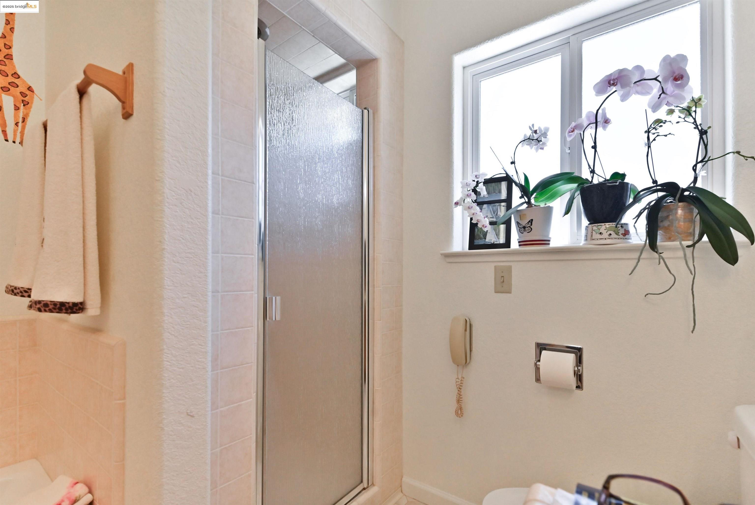 Detail Gallery Image 50 of 60 For 5409 Stagecoach Hill Rd, Mountain Ranch,  CA 95246 - 3 Beds | 2/1 Baths
