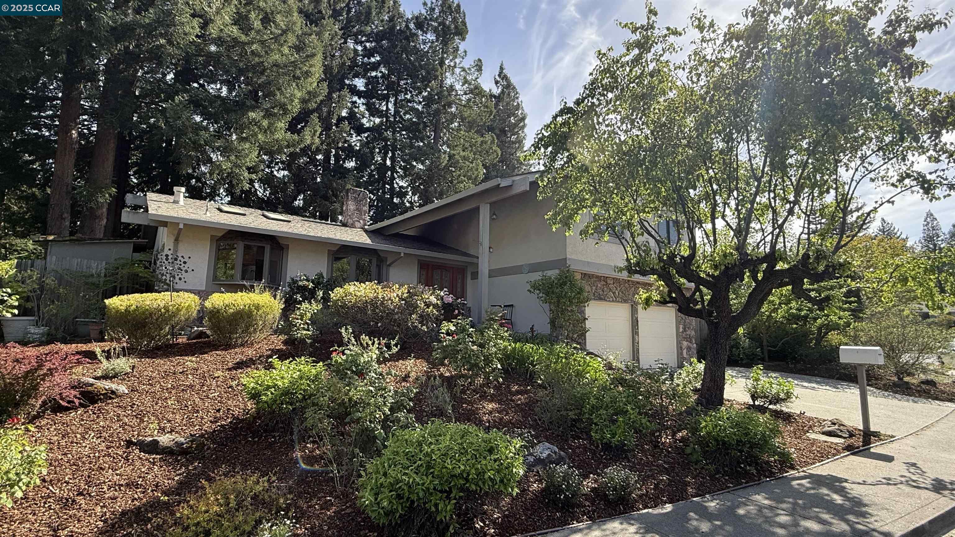Detail Gallery Image 1 of 1 For 229 Devon Ave, Pleasant Hill,  CA 94523 - 4 Beds | 2/1 Baths