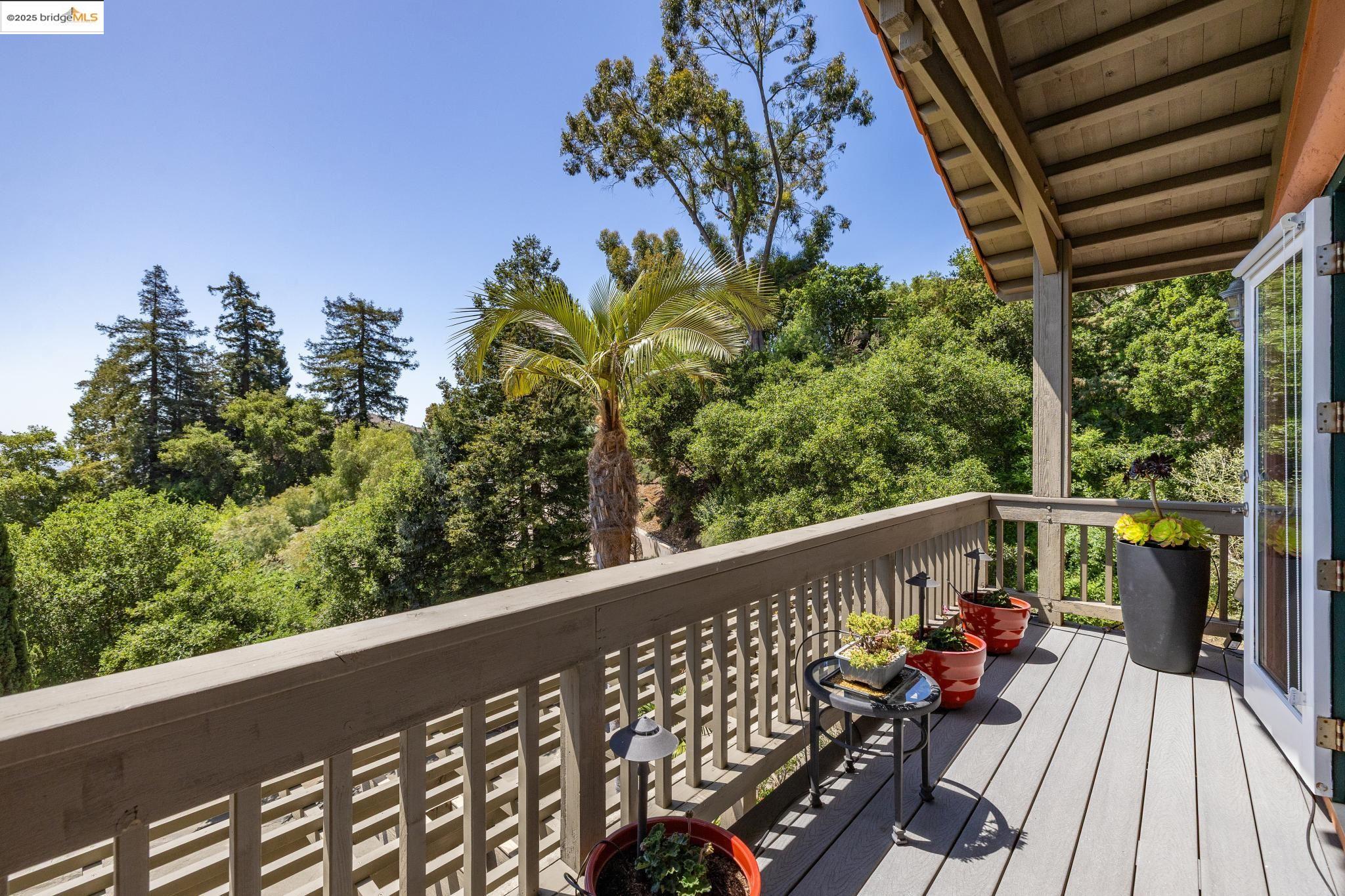 Detail Gallery Image 14 of 60 For 260 Alvarado Rd, Berkeley,  CA 94705 - 4 Beds | 2/1 Baths