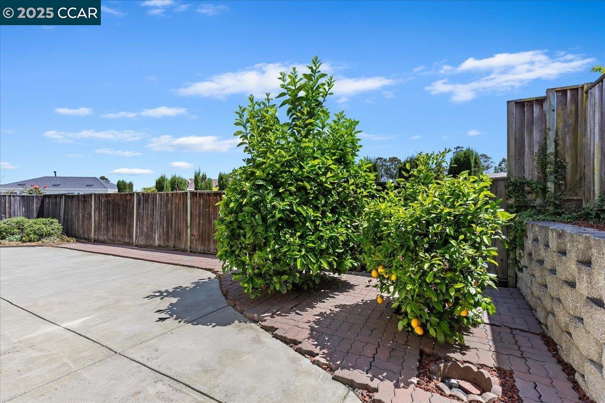 Detail Gallery Image 32 of 34 For 318 Titan Way, Hercules,  CA 94547 - 4 Beds | 3 Baths
