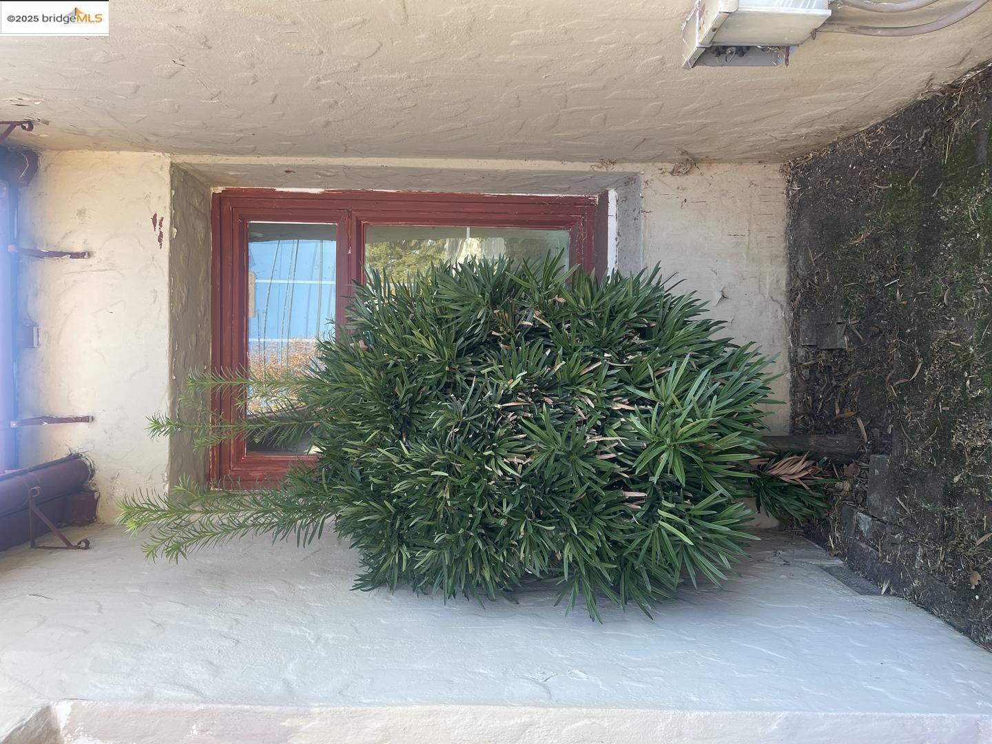 Detail Gallery Image 22 of 60 For 2890 Concord Blvd, Concord,  CA 94519 - – Beds | – Baths