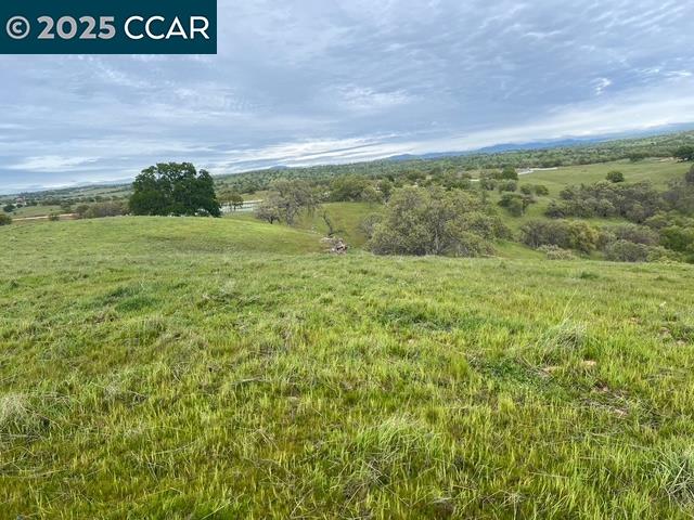 Detail Gallery Image 11 of 12 For 11 Frenchbar Rd, La Grange,  CA 95329 - – Beds | – Baths