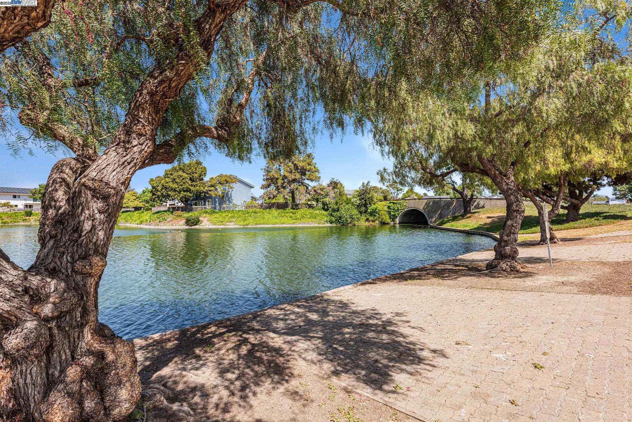 Detail Gallery Image 57 of 60 For 35494 Blackburn Dr, Newark,  CA 94560 - 4 Beds | 3 Baths