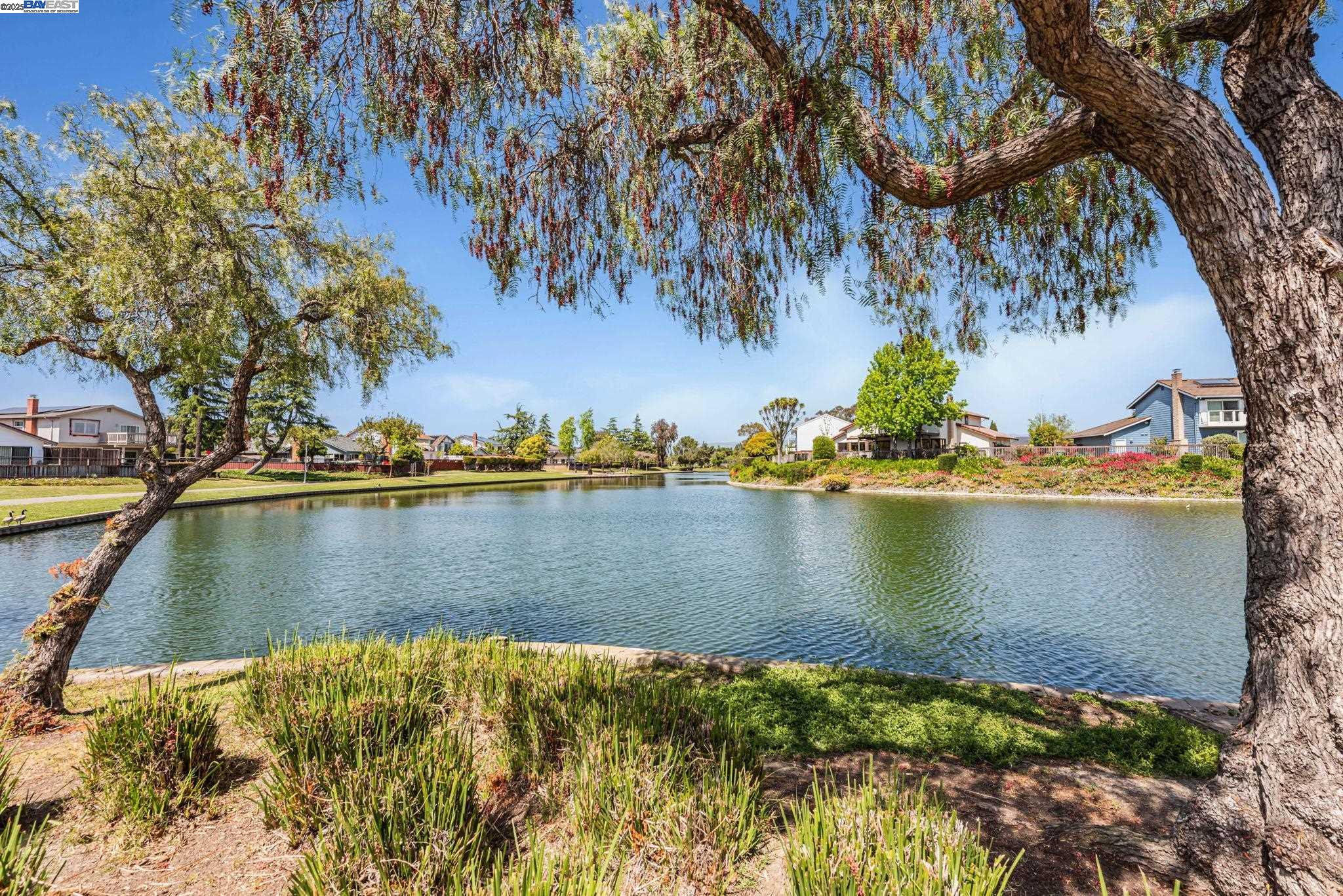 Detail Gallery Image 58 of 60 For 35494 Blackburn Dr, Newark,  CA 94560 - 4 Beds | 3 Baths