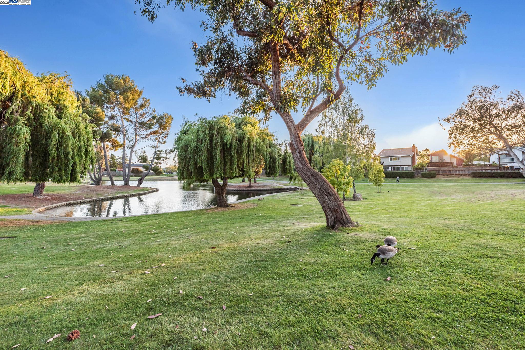 Detail Gallery Image 59 of 60 For 35494 Blackburn Dr, Newark,  CA 94560 - 4 Beds | 3 Baths