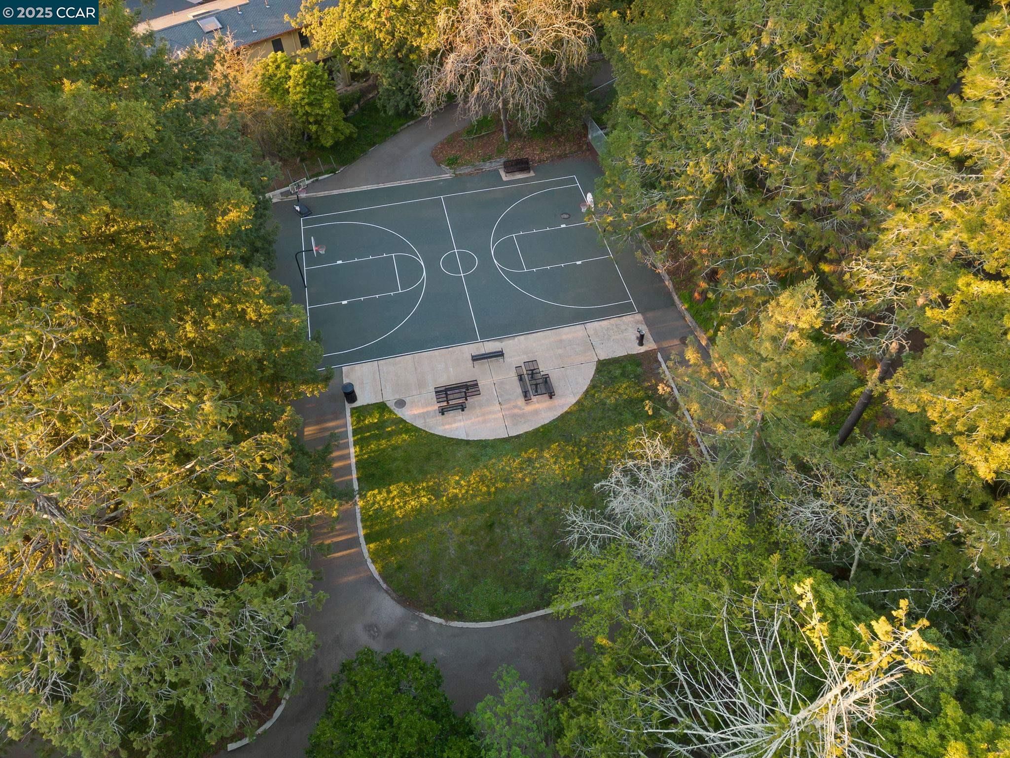 Detail Gallery Image 29 of 41 For 230 Fairlawn Dr, Berkeley,  CA 94708 - 4 Beds | 2 Baths