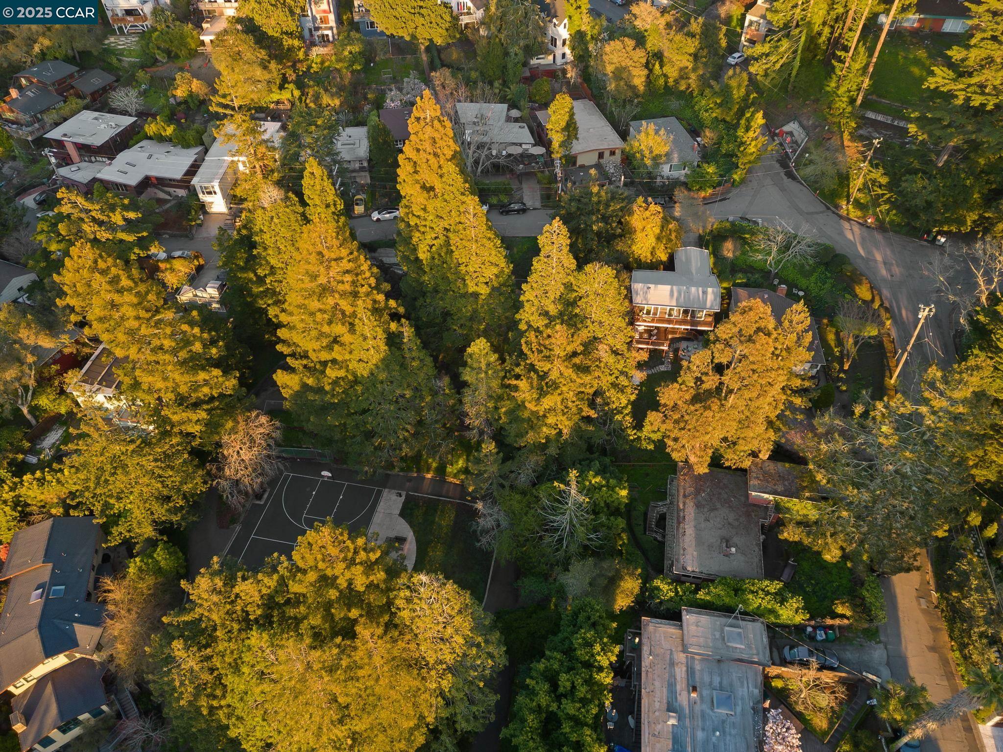 Detail Gallery Image 39 of 41 For 230 Fairlawn Dr, Berkeley,  CA 94708 - 4 Beds | 2 Baths