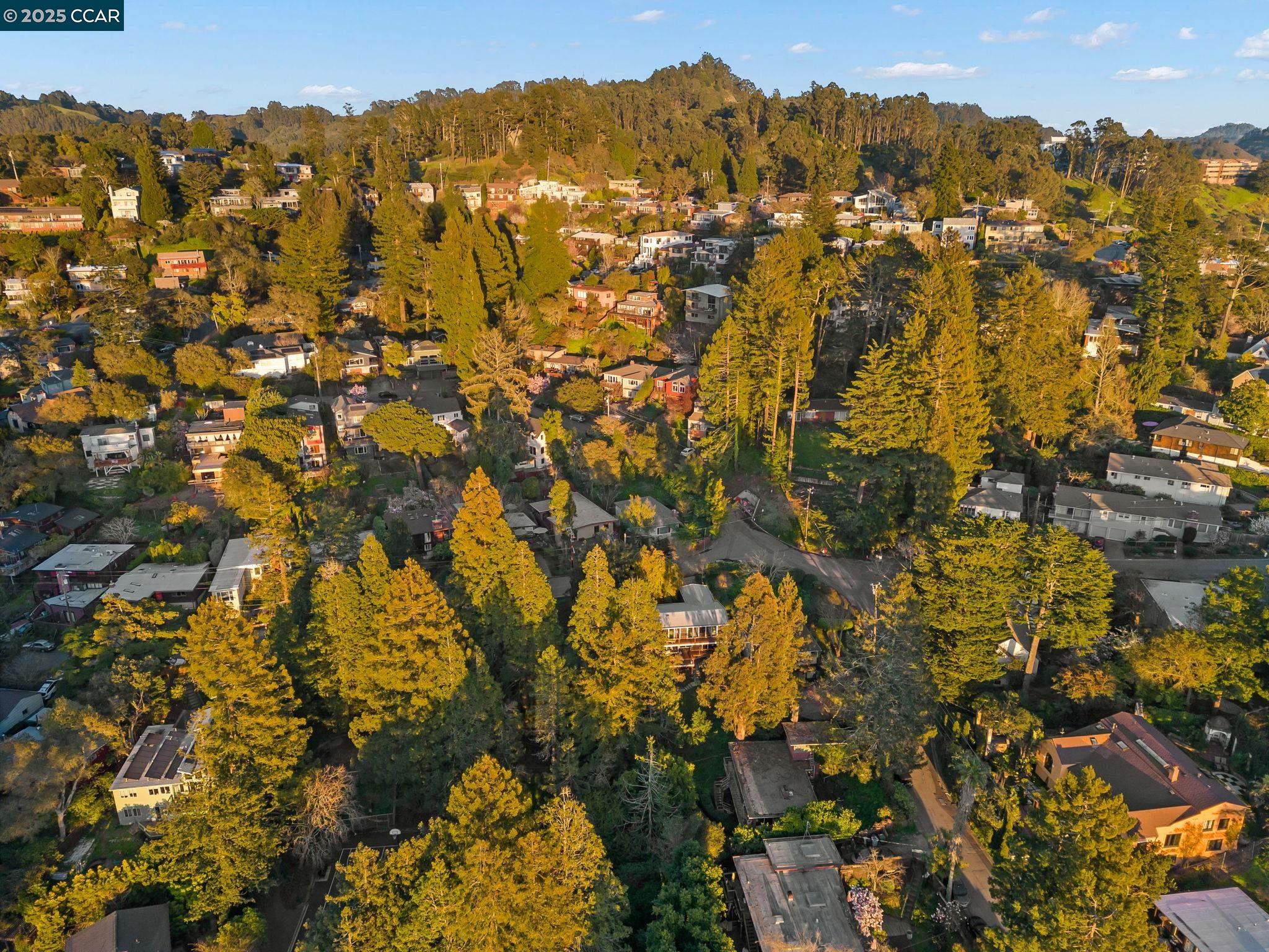 Detail Gallery Image 41 of 41 For 230 Fairlawn Dr, Berkeley,  CA 94708 - 4 Beds | 2 Baths