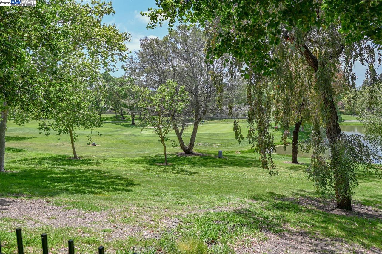 Photo #39: 41094621 Listing: Photo #39