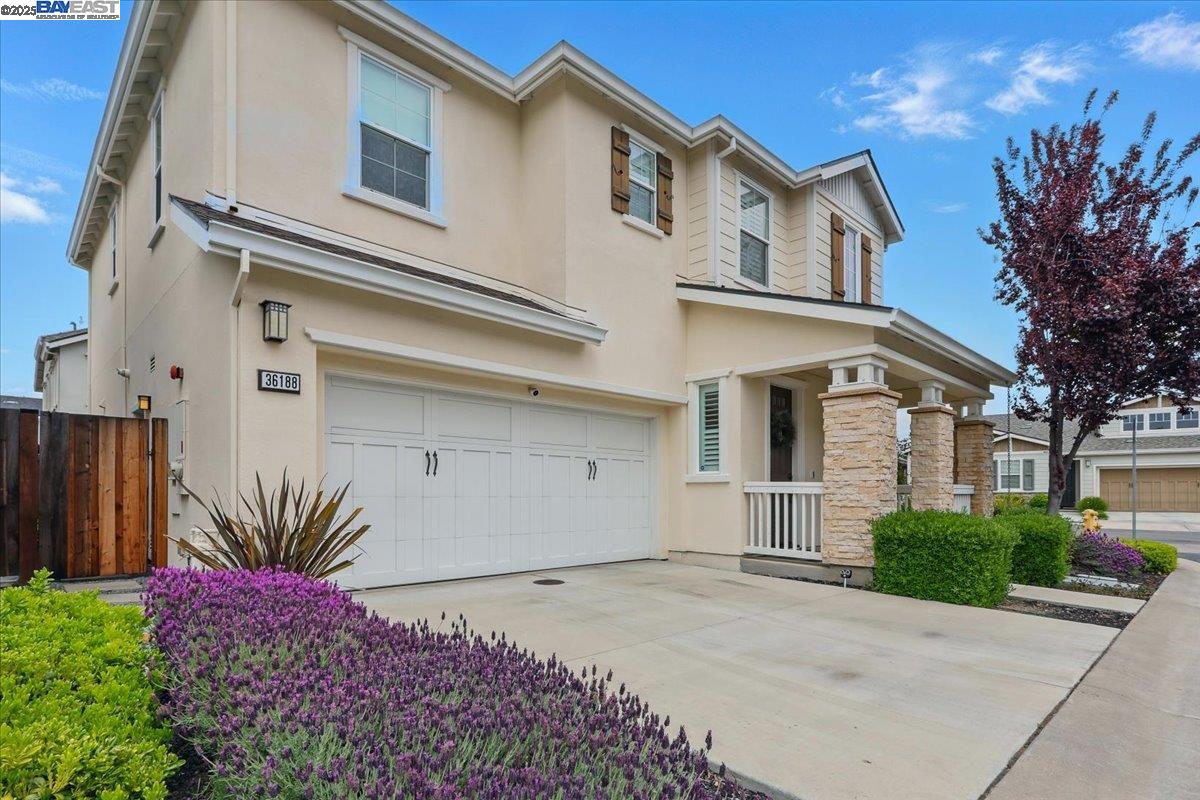 Detail Gallery Image 4 of 27 For 36188 Fig Tree Lane, Newark,  CA 94560 - 4 Beds | 2/1 Baths
