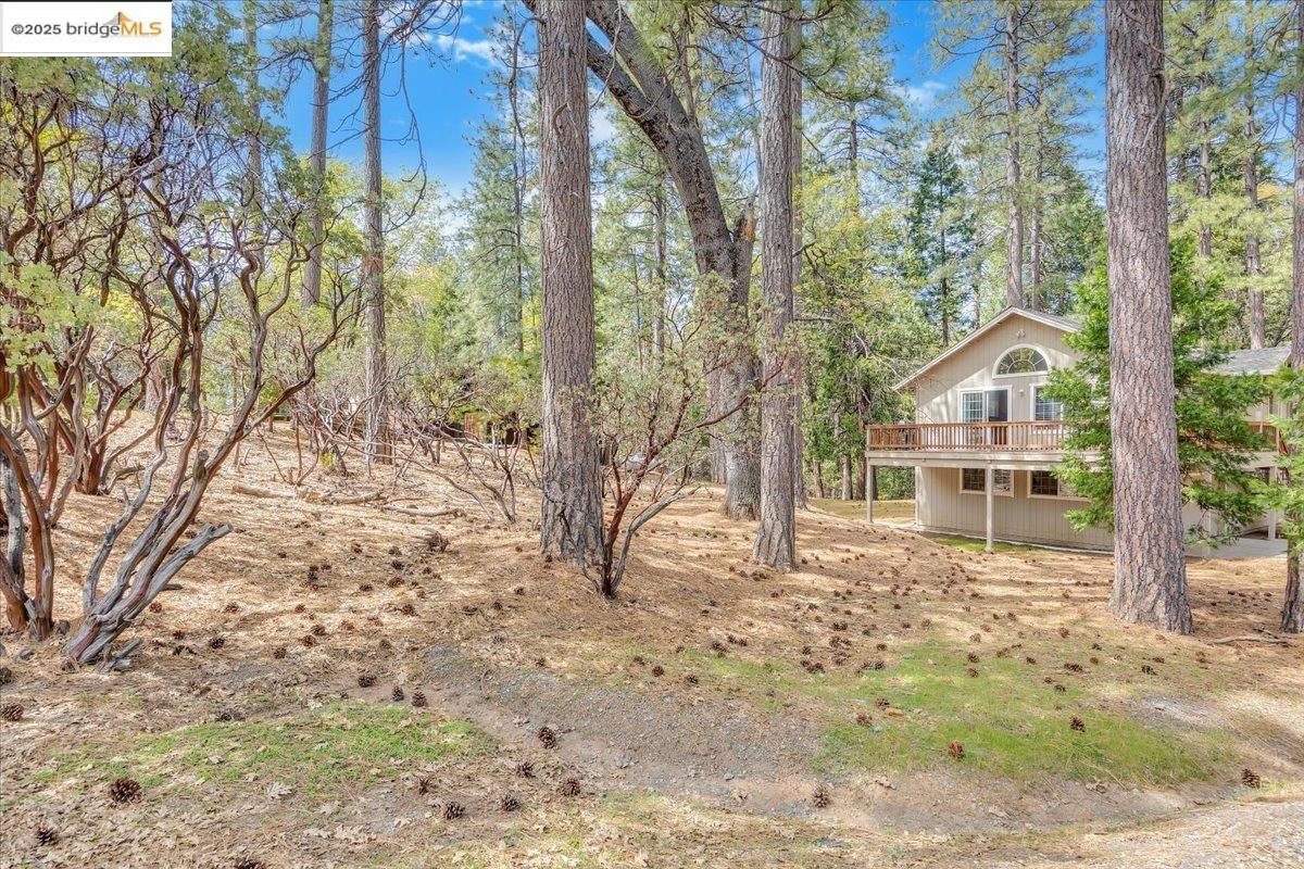 Detail Gallery Image 49 of 53 For 24030 Hitching Post Rd, Sonora,  CA 95370 - 3 Beds | 2/1 Baths
