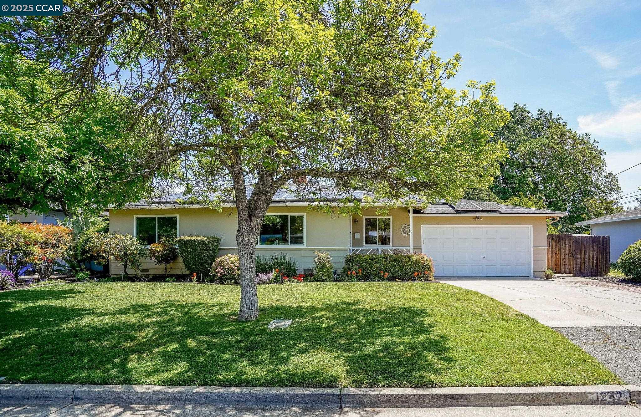 Detail Gallery Image 1 of 1 For 1242 Craig Dr, Concord,  CA 94518 - 3 Beds | 1 Baths