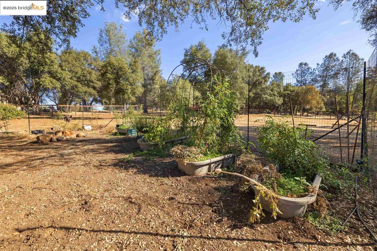 Detail Gallery Image 50 of 58 For 13420 Clements, Groveland,  CA 95321-9333 - 3 Beds | 2/1 Baths