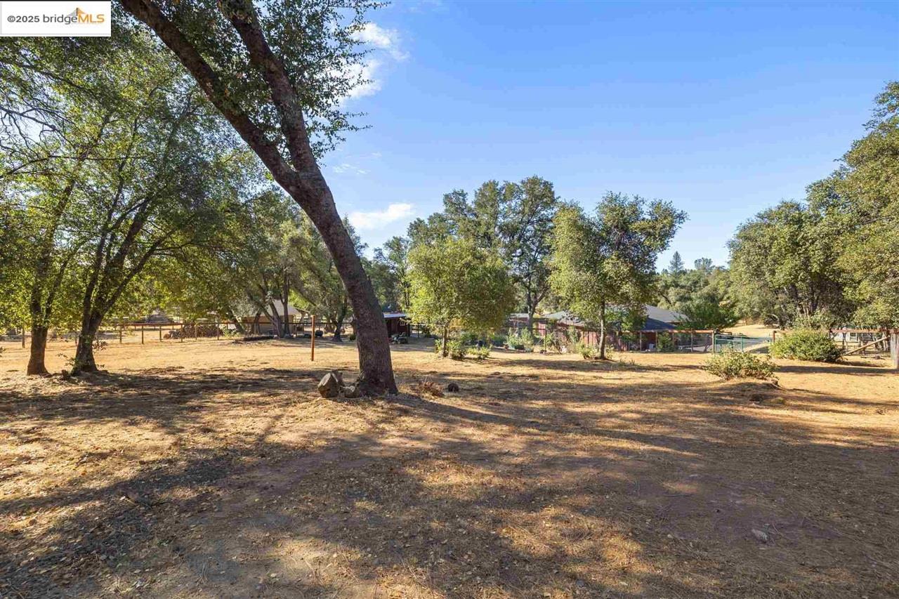 Detail Gallery Image 52 of 58 For 13420 Clements, Groveland,  CA 95321-9333 - 3 Beds | 2/1 Baths