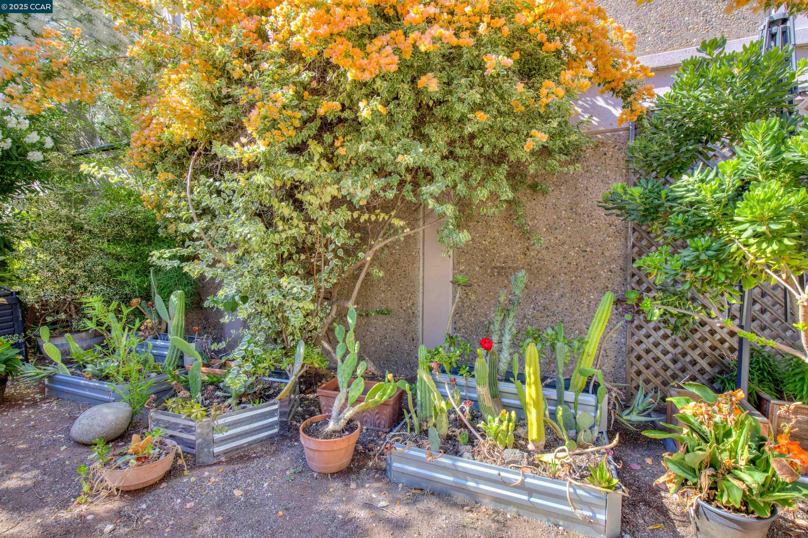 1679 Carmel Dr, Walnut Creek, California 94596, 2 Bedrooms Bedrooms, 11 Rooms Rooms,1 BathroomBathrooms,Residential Lease,For Rent,1679 Carmel Dr,41094694