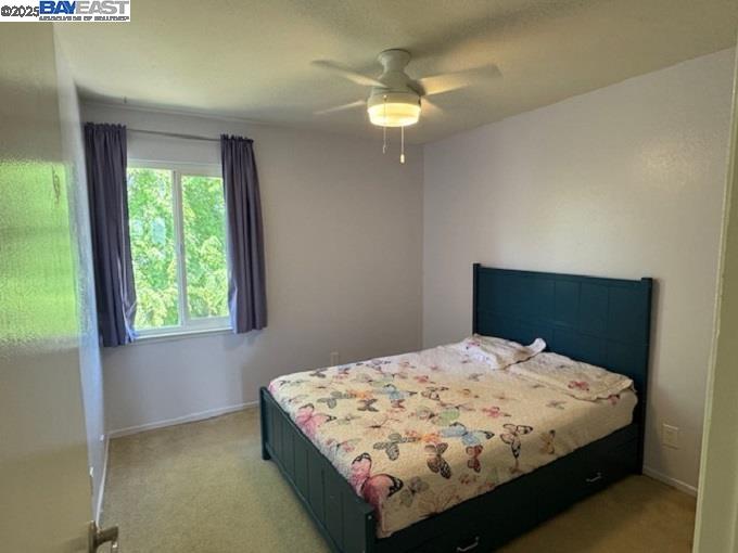 Photo #35: 41094733 Listing: Photo #35