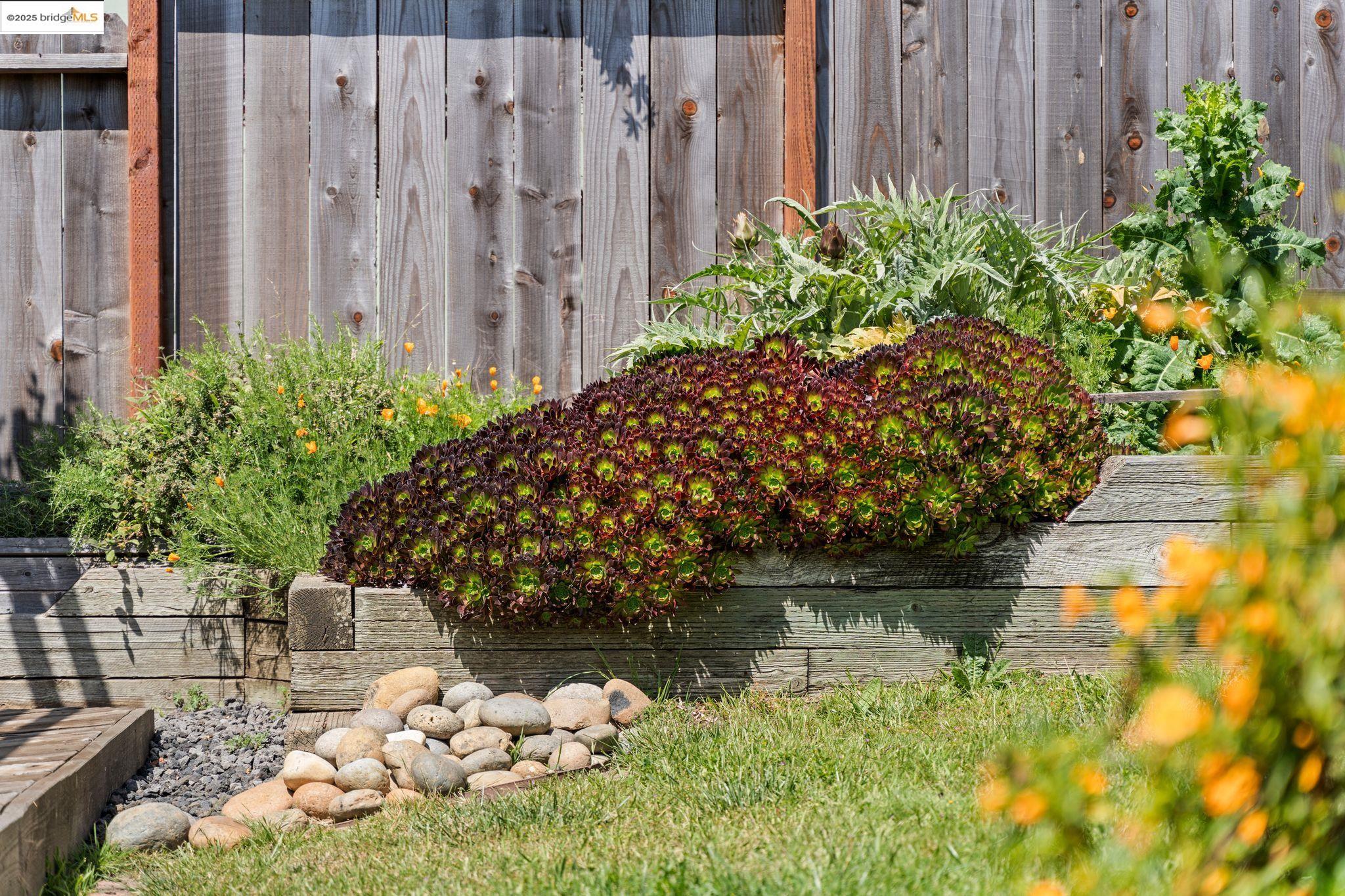 Detail Gallery Image 23 of 30 For 1724 Bayo Vista Ave, San Pablo,  CA 94806 - 2 Beds | 1/1 Baths