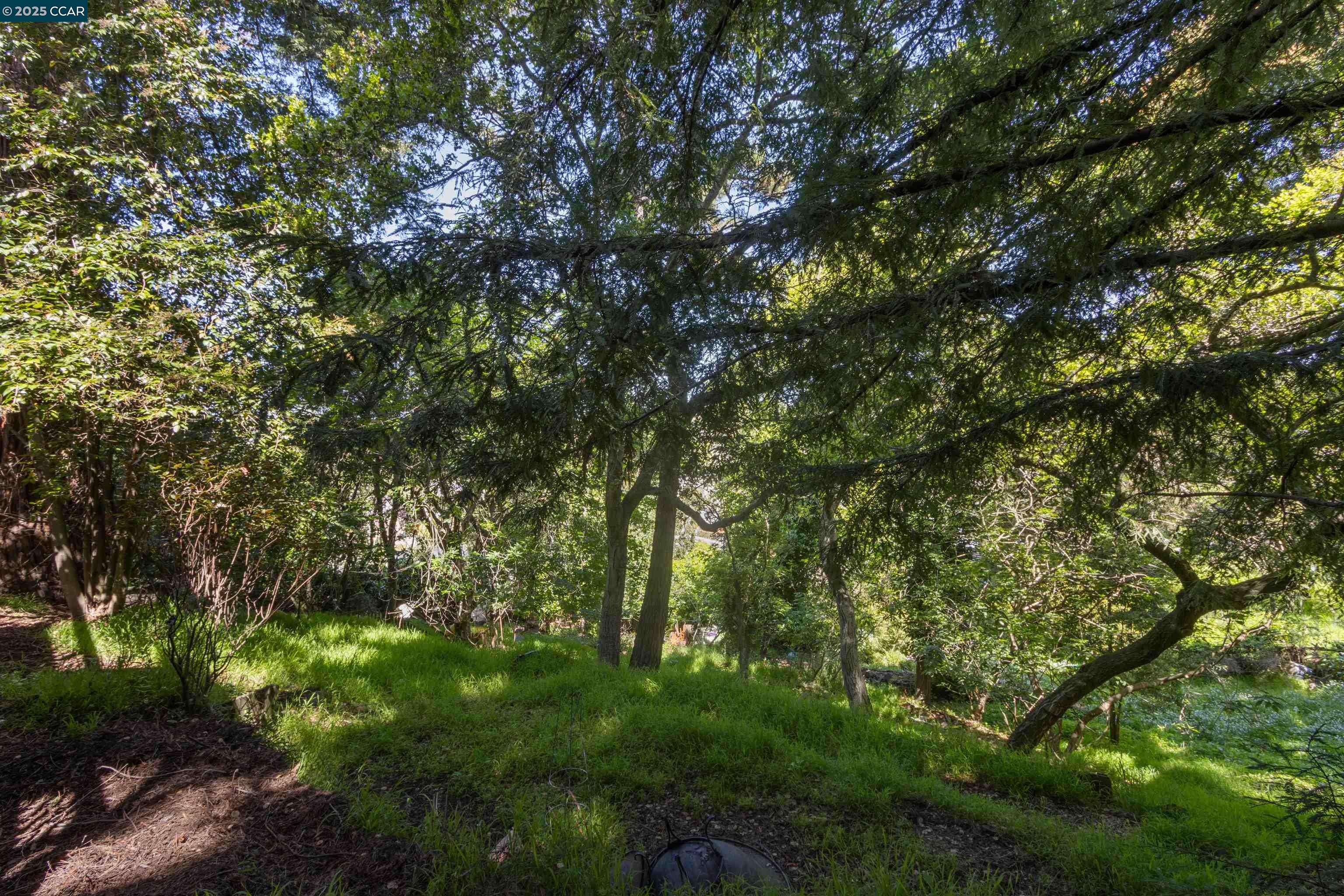 Detail Gallery Image 45 of 48 For 3747 Park Boulevard Way, Oakland,  CA 94610 - 3 Beds | 2 Baths