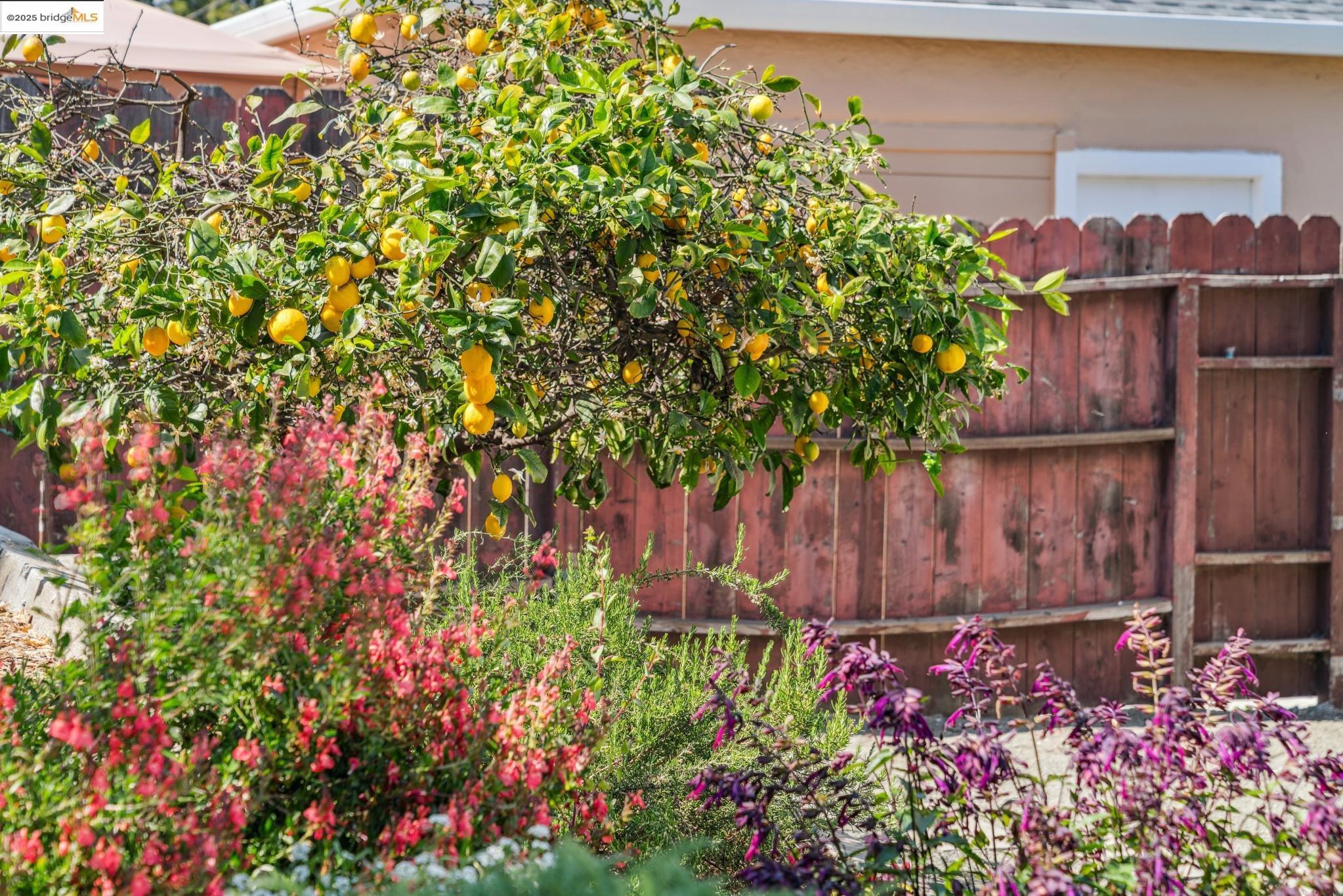 Detail Gallery Image 32 of 40 For 6212 Bernhard, Richmond,  CA 94805 - 2 Beds | 2 Baths