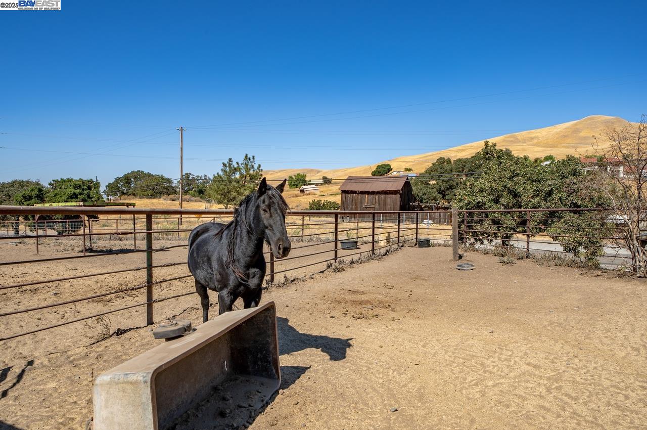 Detail Gallery Image 36 of 60 For 12141 Tesla Rd, Livermore,  CA 94550 - 6 Beds | 4 Baths