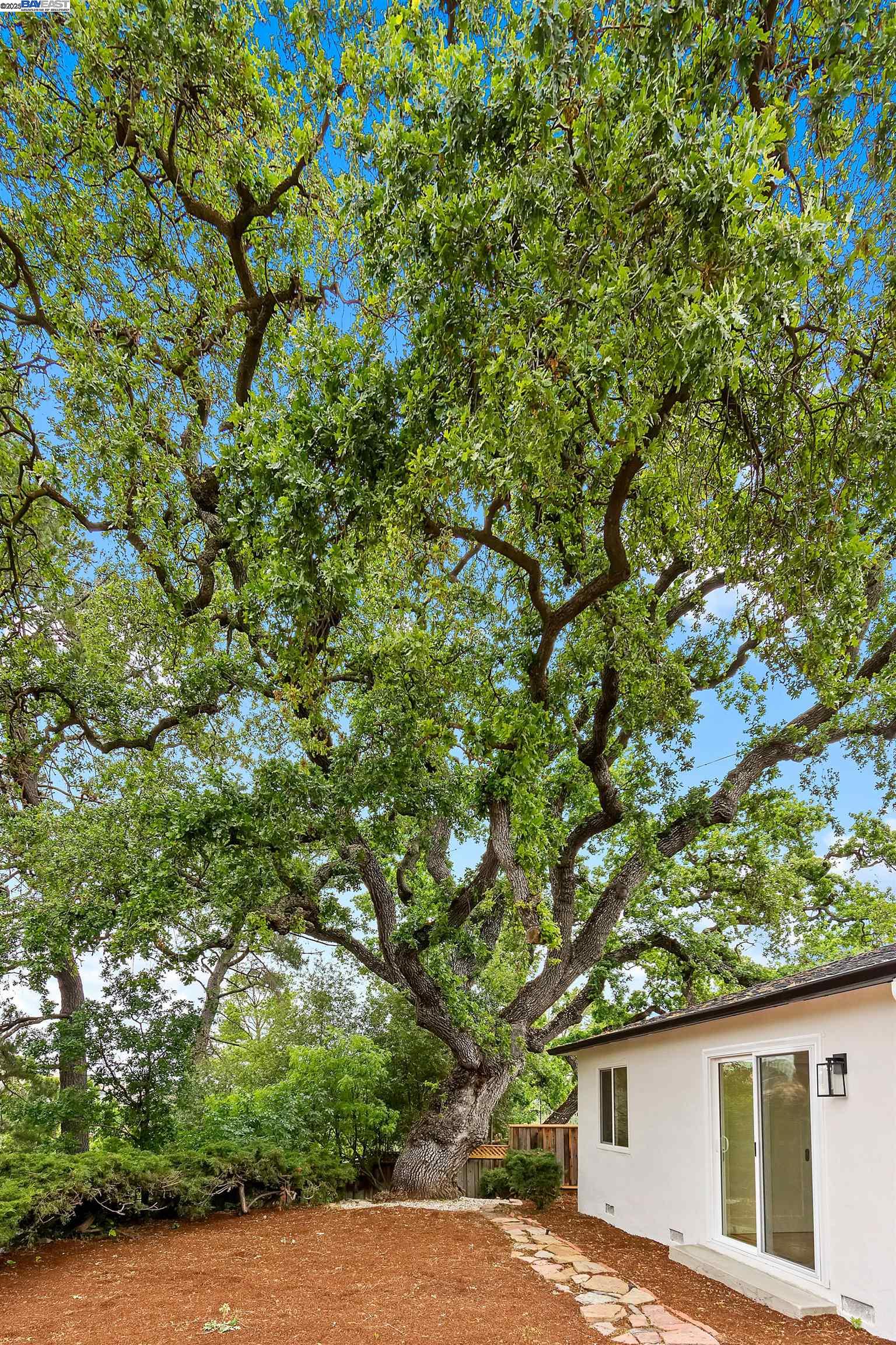 Detail Gallery Image 24 of 28 For 1860 Poplar Dr, Walnut Creek,  CA 94595 - 3 Beds | 2 Baths