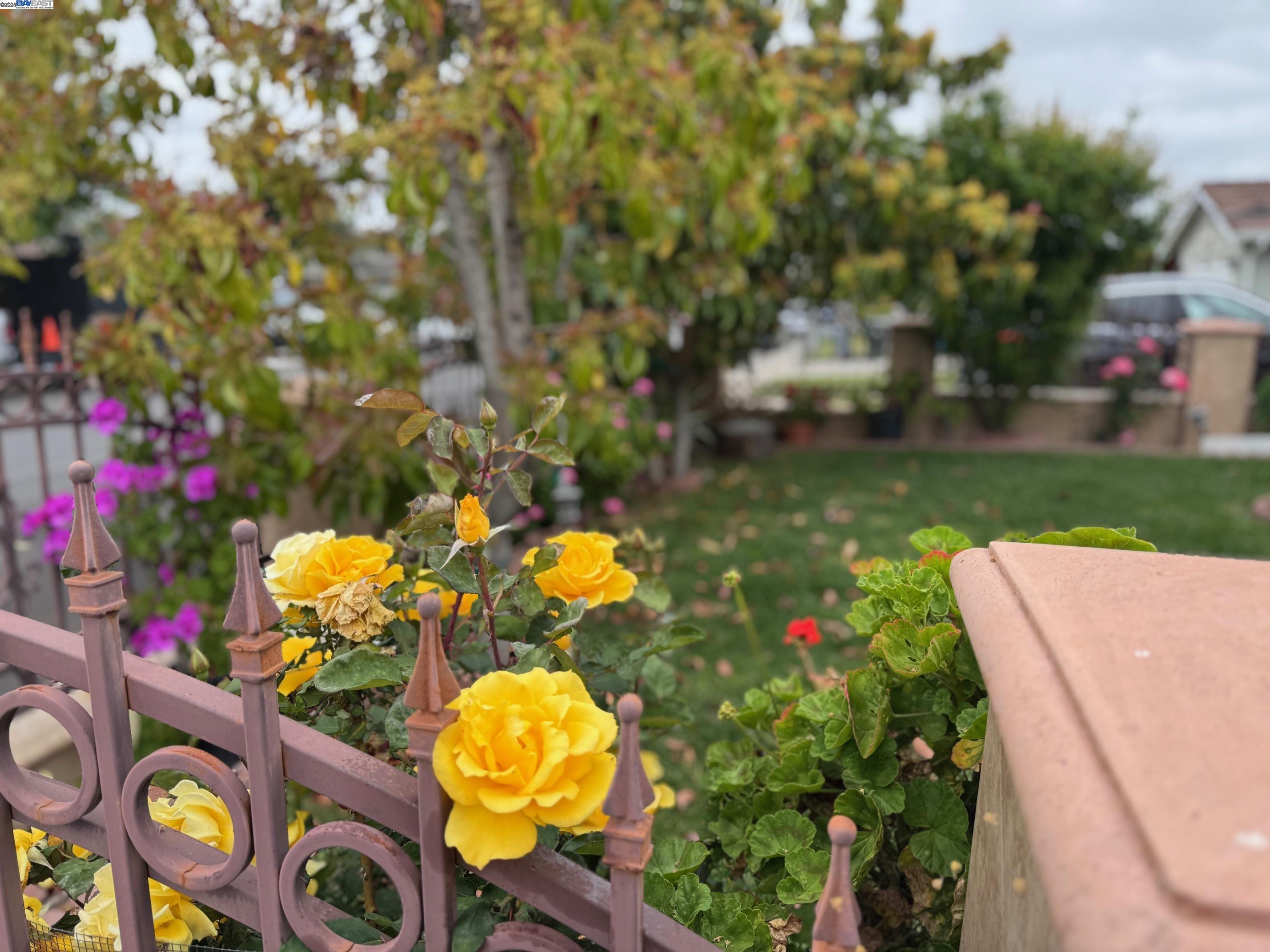 Detail Gallery Image 2 of 27 For 11954 Flagler St, San Jose,  CA 95127 - 4 Beds | 2 Baths