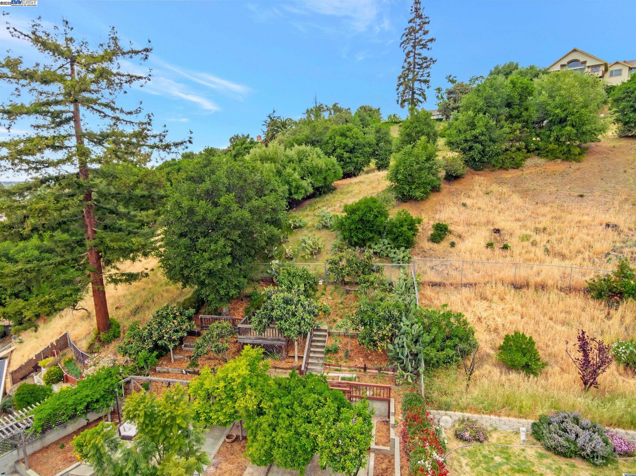 Detail Gallery Image 31 of 54 For 31300 Chicoine Ave, Hayward,  CA 94544 - 5 Beds | 4 Baths