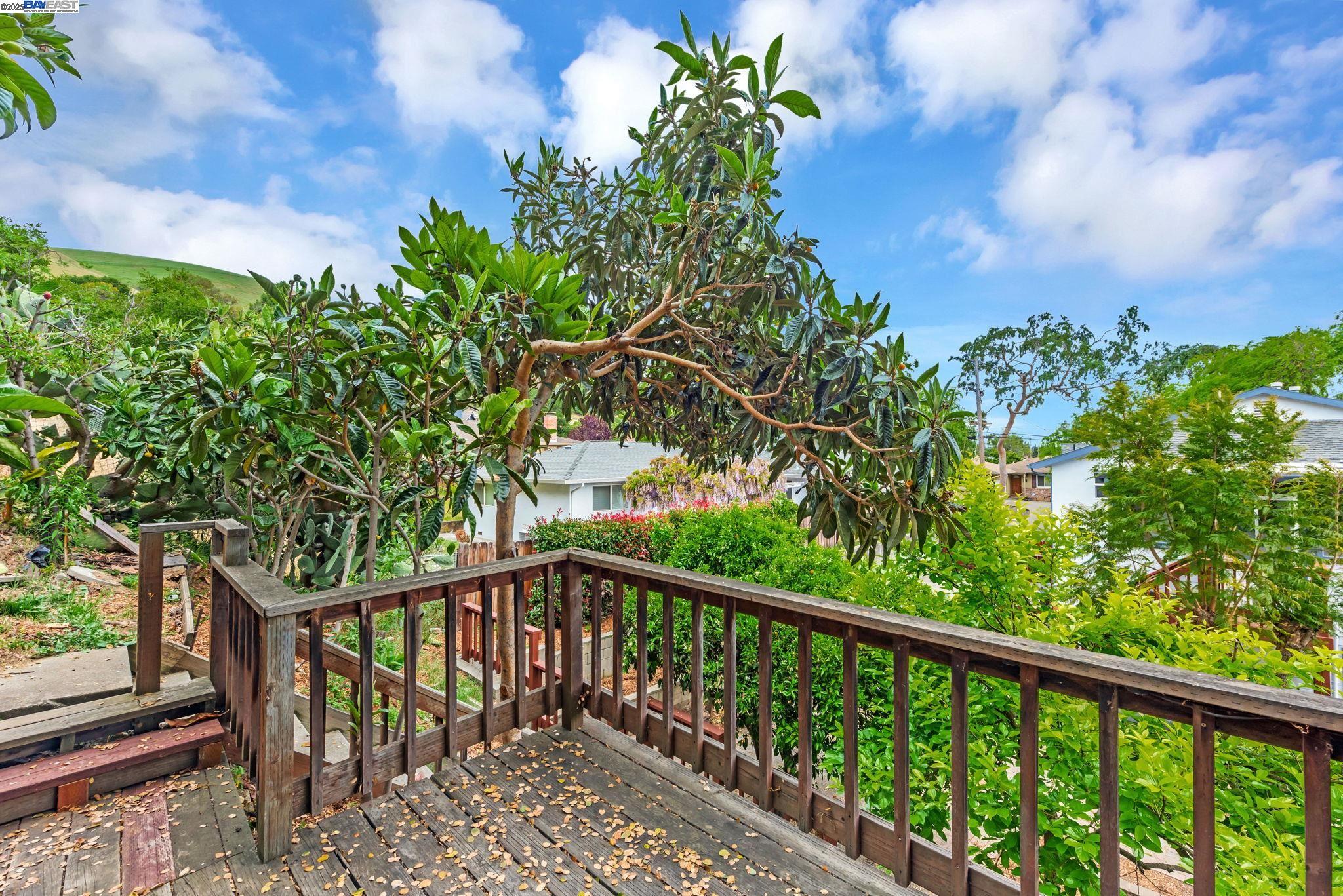 Detail Gallery Image 50 of 54 For 31300 Chicoine Ave, Hayward,  CA 94544 - 5 Beds | 4 Baths