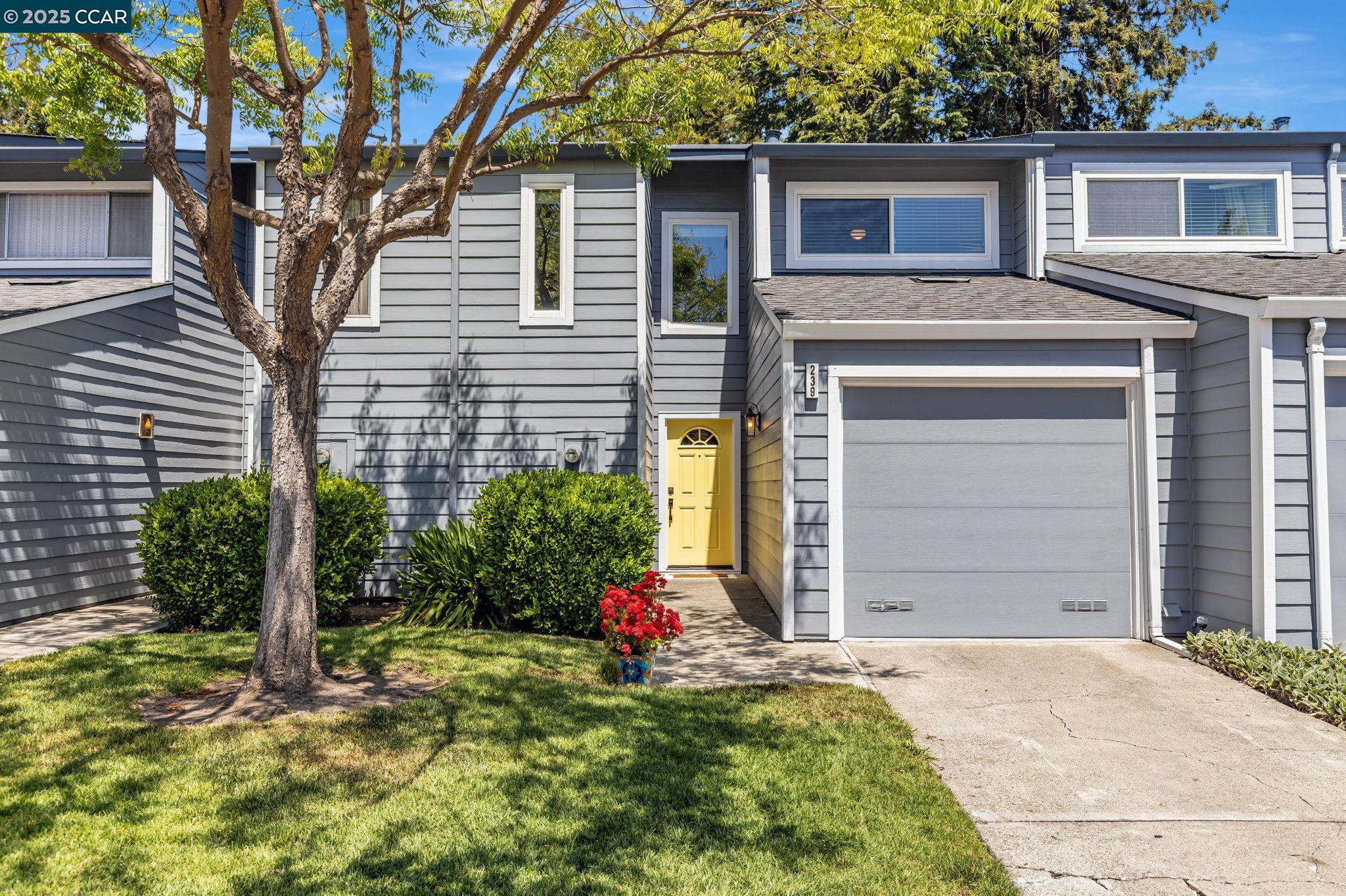 Detail Gallery Image 2 of 37 For 239 Ashley Cir, Danville,  CA 94526 - 2 Beds | 2/1 Baths