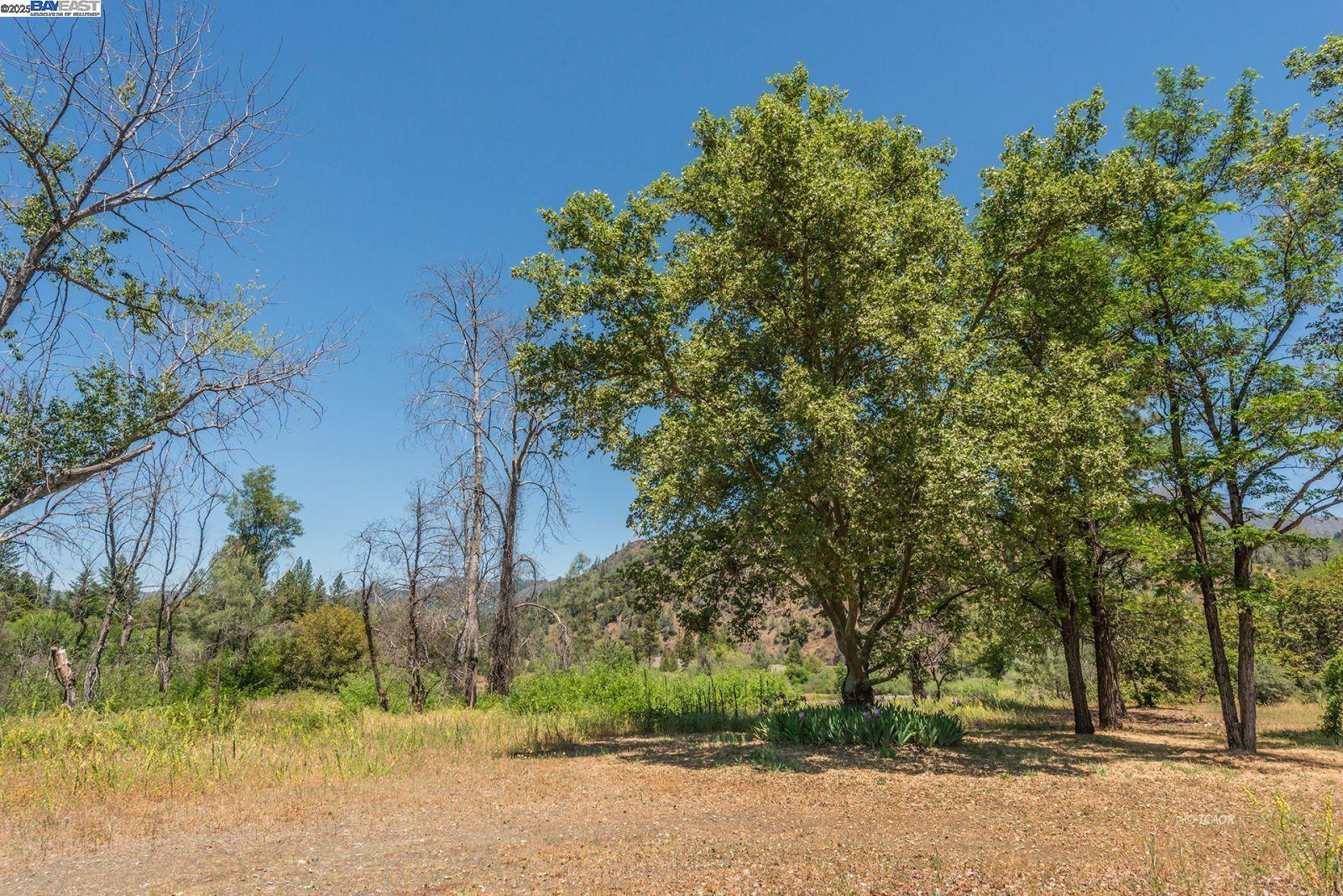 Detail Gallery Image 21 of 32 For 200 Dutch Creek Road, –,  CA 96048 - – Beds | – Baths