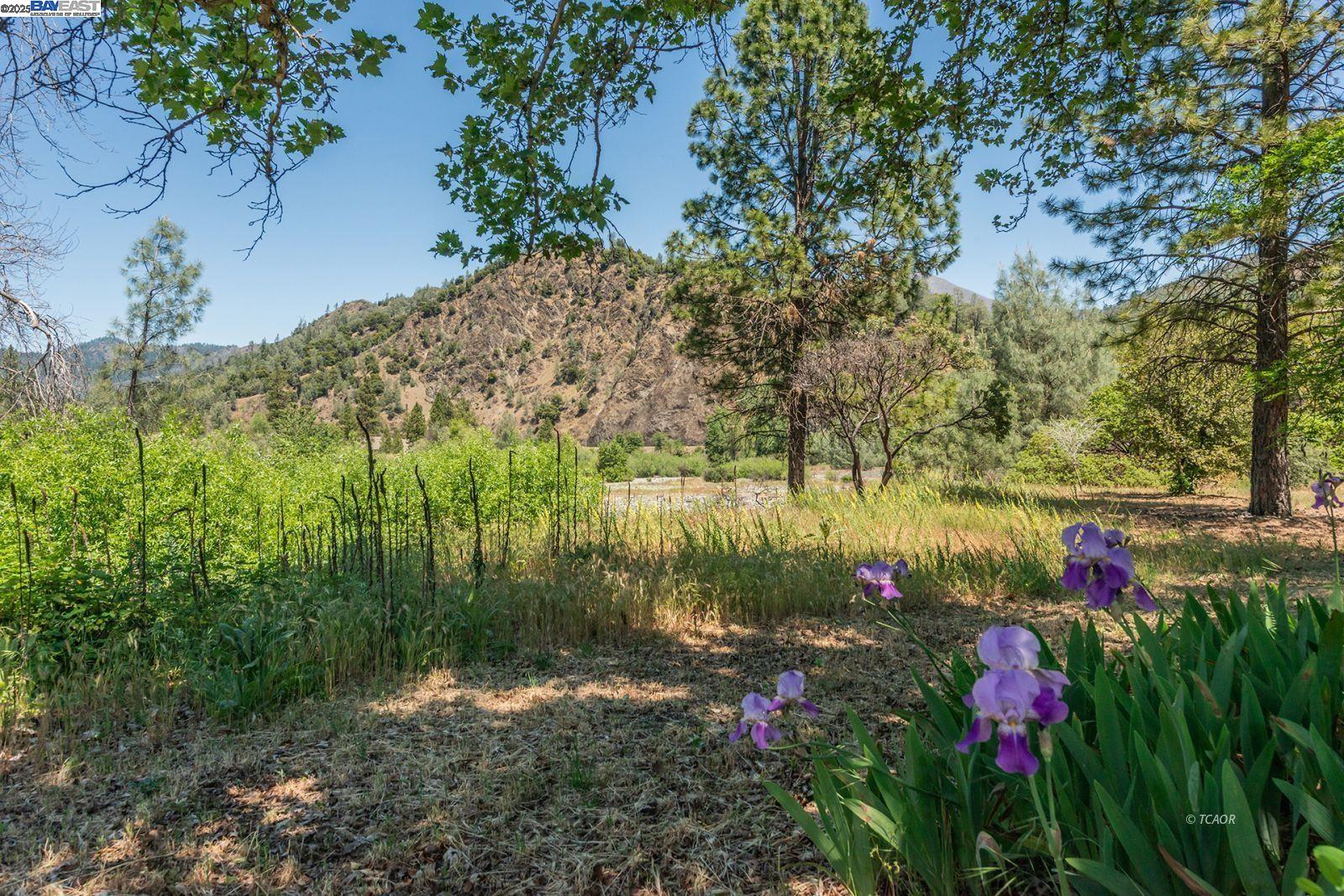 Detail Gallery Image 23 of 32 For 200 Dutch Creek Road, –,  CA 96048 - – Beds | – Baths