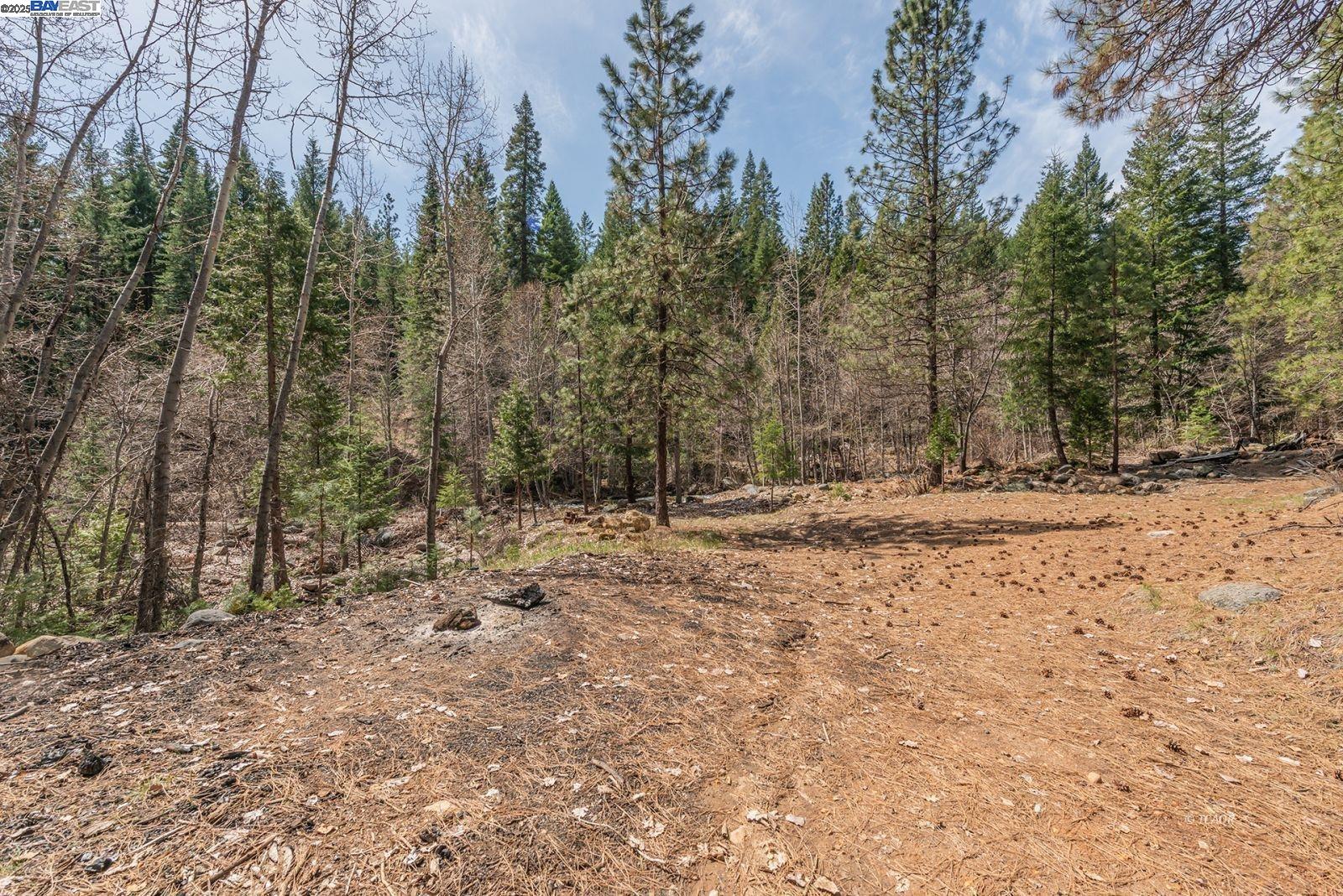 Detail Gallery Image 38 of 48 For 121 Mountain Aire Ln, Trinity Center,  CA 96091 - 2 Beds | 1 Baths