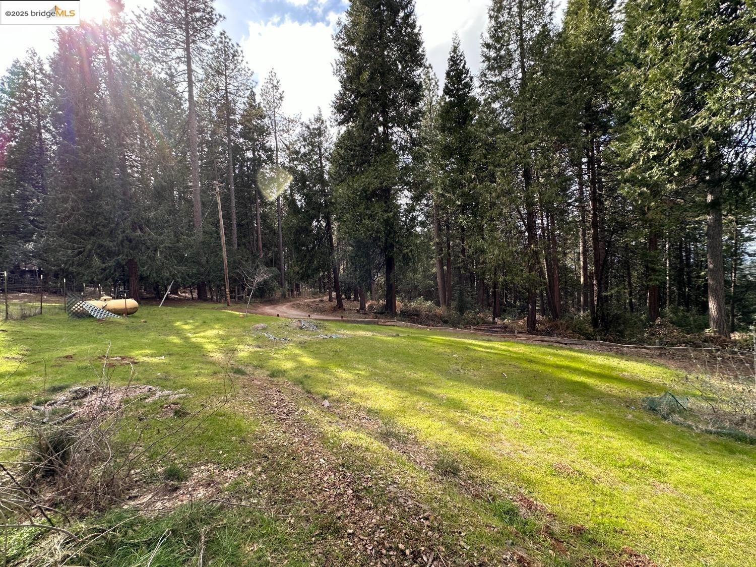 Detail Gallery Image 20 of 34 For 19071 W. Allan, Volcano,  CA 95689 - 3 Beds | 1/1 Baths