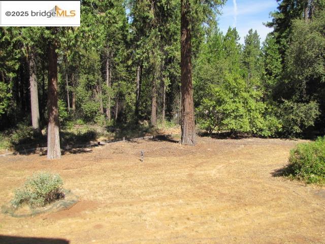 Detail Gallery Image 39 of 42 For 19071 W. Allan, Volcano,  CA 95689 - 3 Beds | 1/1 Baths