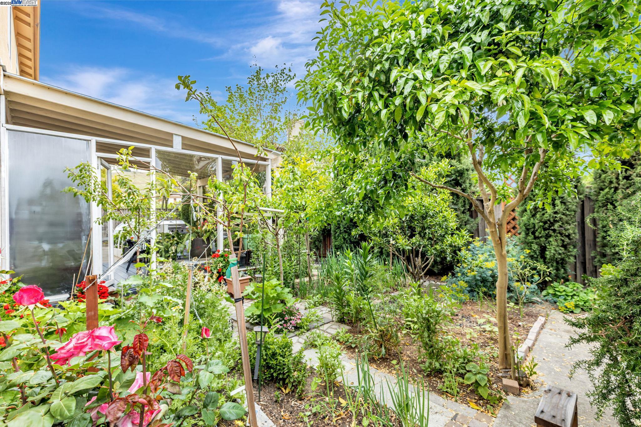 Detail Gallery Image 48 of 59 For 85 via Pescara, American Canyon,  CA 94503 - 6 Beds | 3 Baths