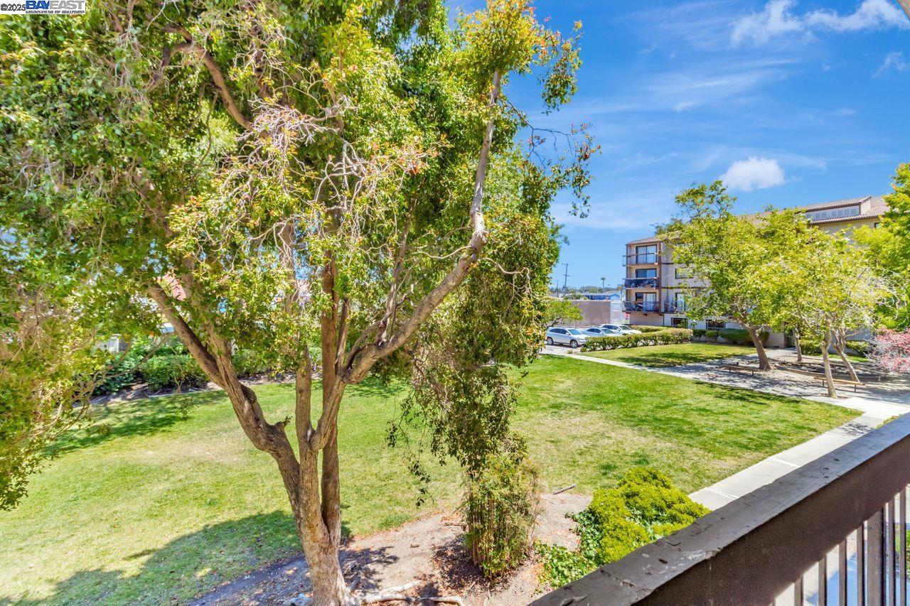 Photo #20: 41095101 Listing: Photo #20