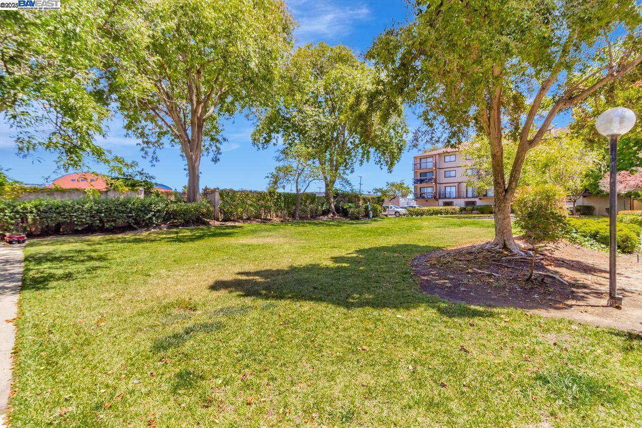 Photo #26: 41095101 Listing: Photo #26