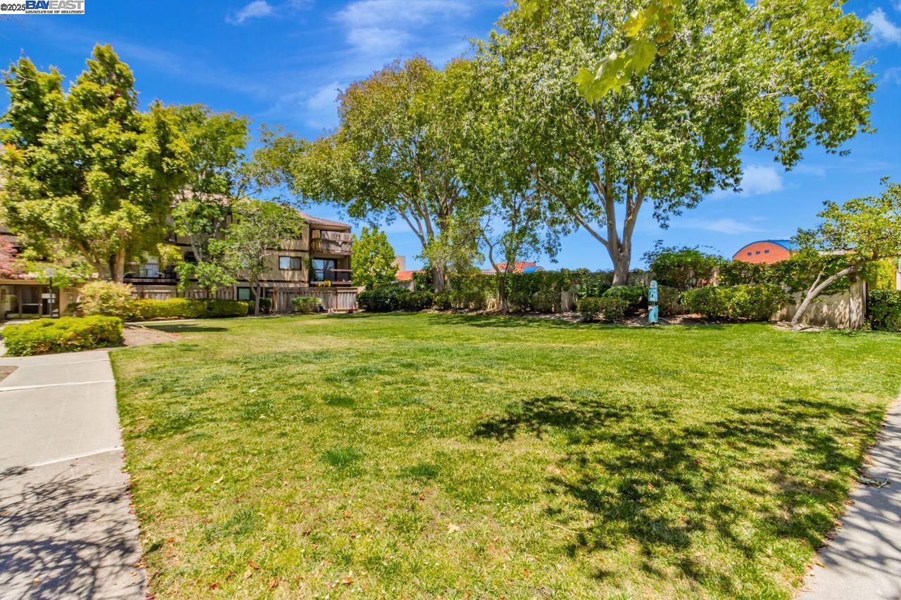 Photo #29: 41095101 Listing: Photo #29