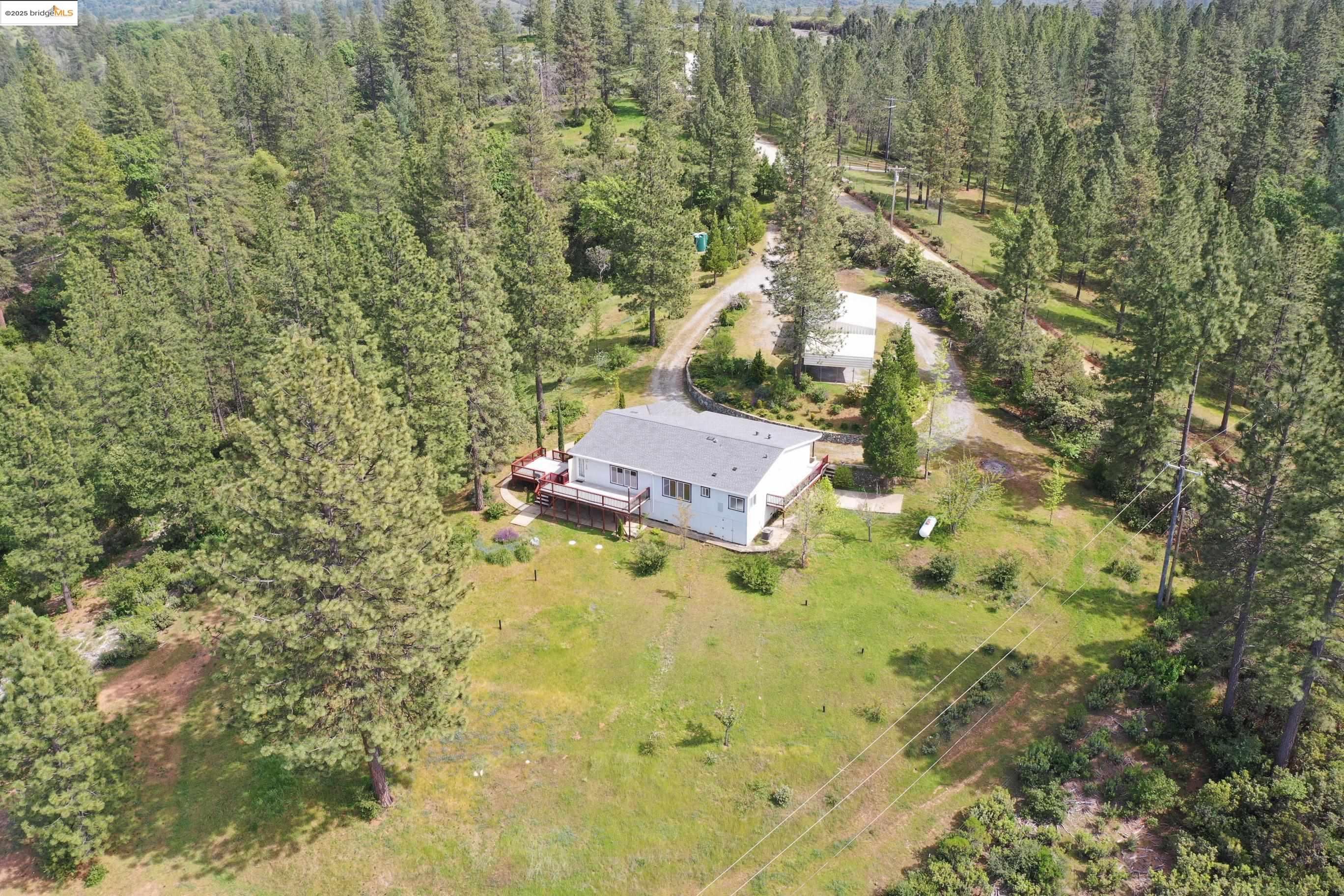 Detail Gallery Image 32 of 40 For 14541 Fricot City Road, Sheep Ranch,  CA 95246 - 3 Beds | 2 Baths