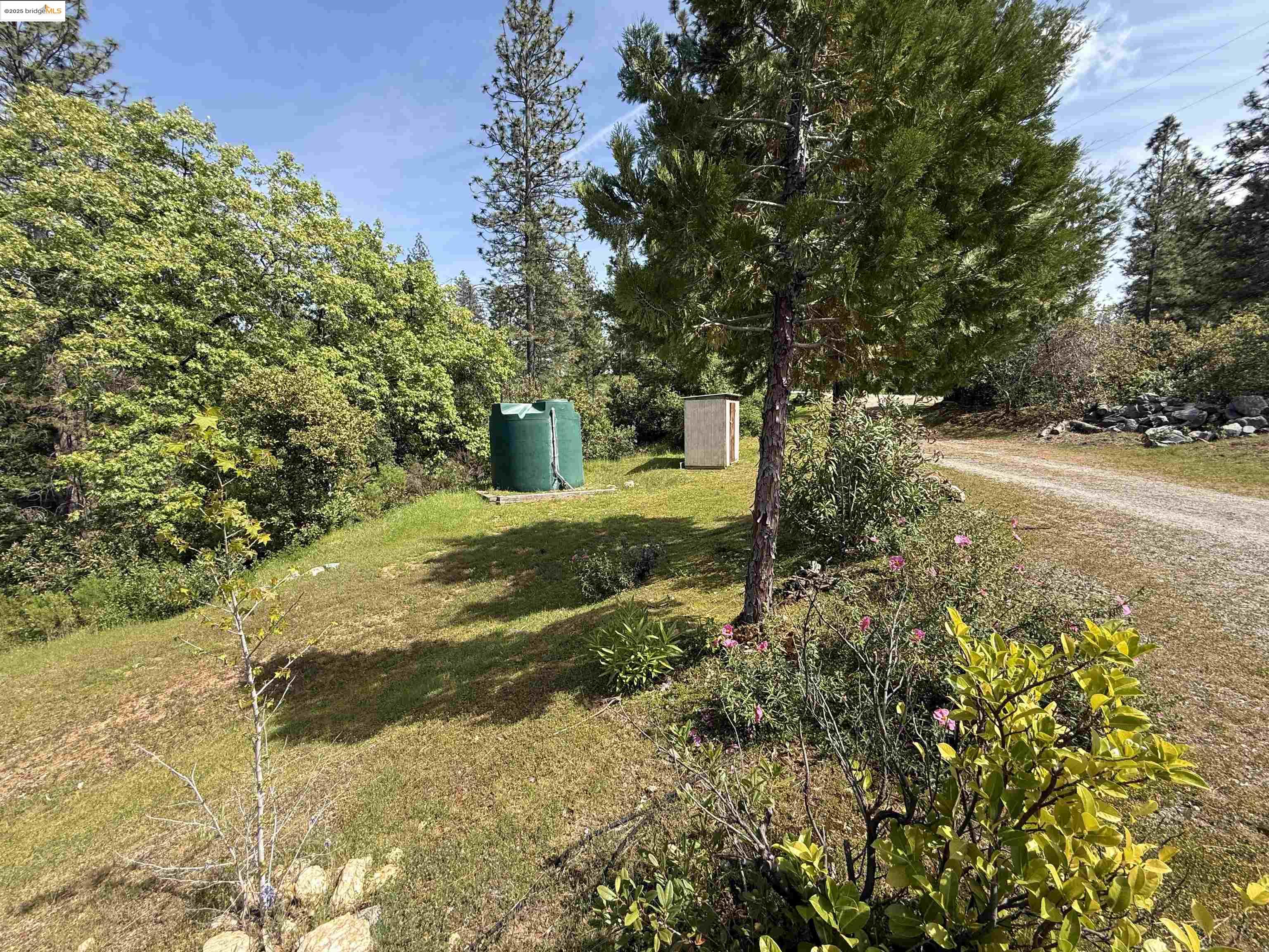 Detail Gallery Image 40 of 40 For 14541 Fricot City Road, Sheep Ranch,  CA 95246 - 3 Beds | 2 Baths