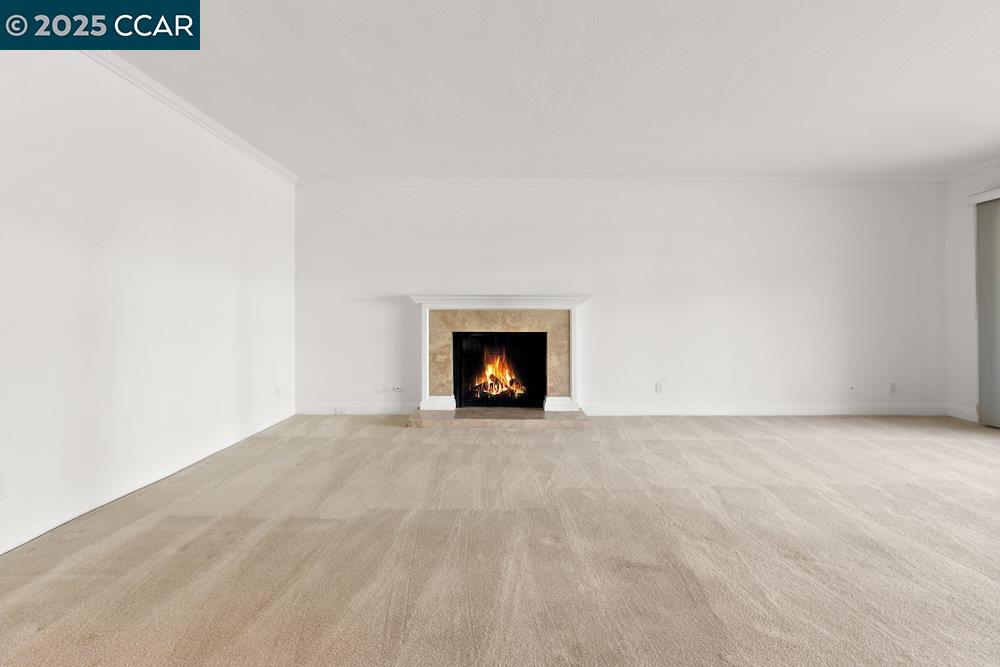 Photo #8: 41095143 Listing: Photo #8