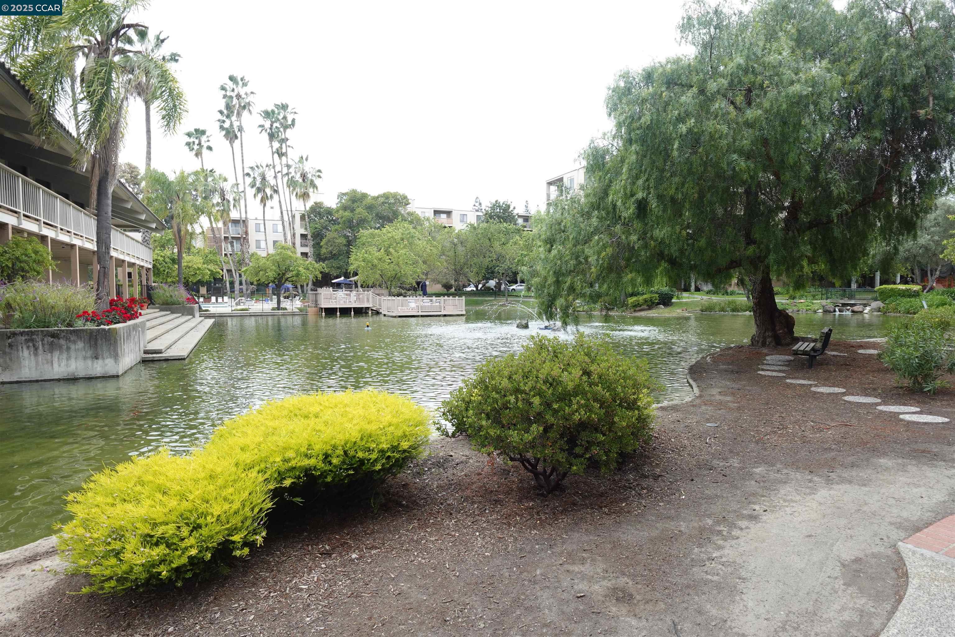 410 N Civic Dr # 301, Walnut Creek, California 94596, 2 Bedrooms Bedrooms, 5 Rooms Rooms,2 BathroomsBathrooms,Residential Lease,For Rent,410 N Civic Dr # 301,41095153
