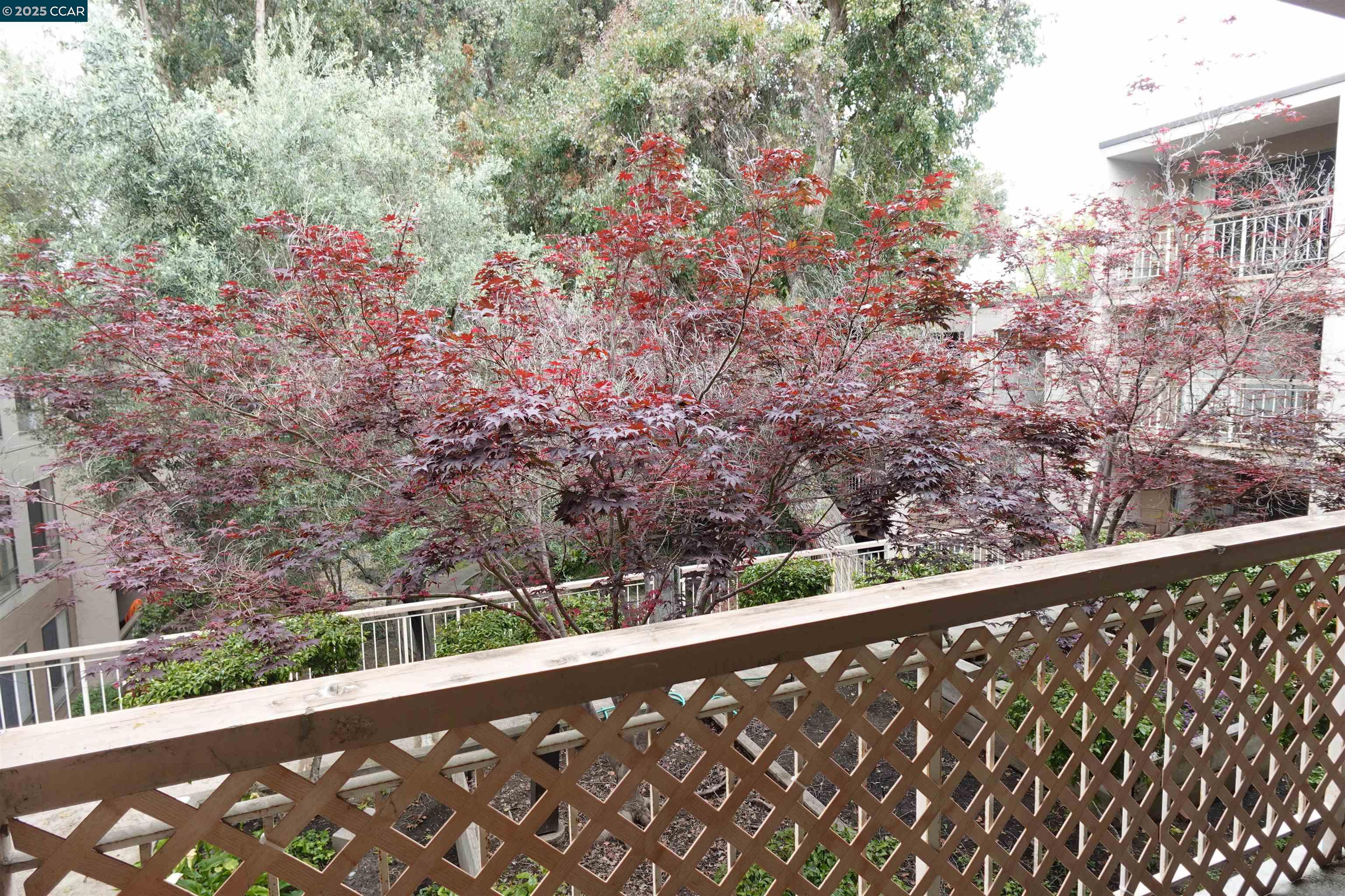 410 N Civic Dr # 301, Walnut Creek, California 94596, 2 Bedrooms Bedrooms, 5 Rooms Rooms,2 BathroomsBathrooms,Residential Lease,For Rent,410 N Civic Dr # 301,41095153