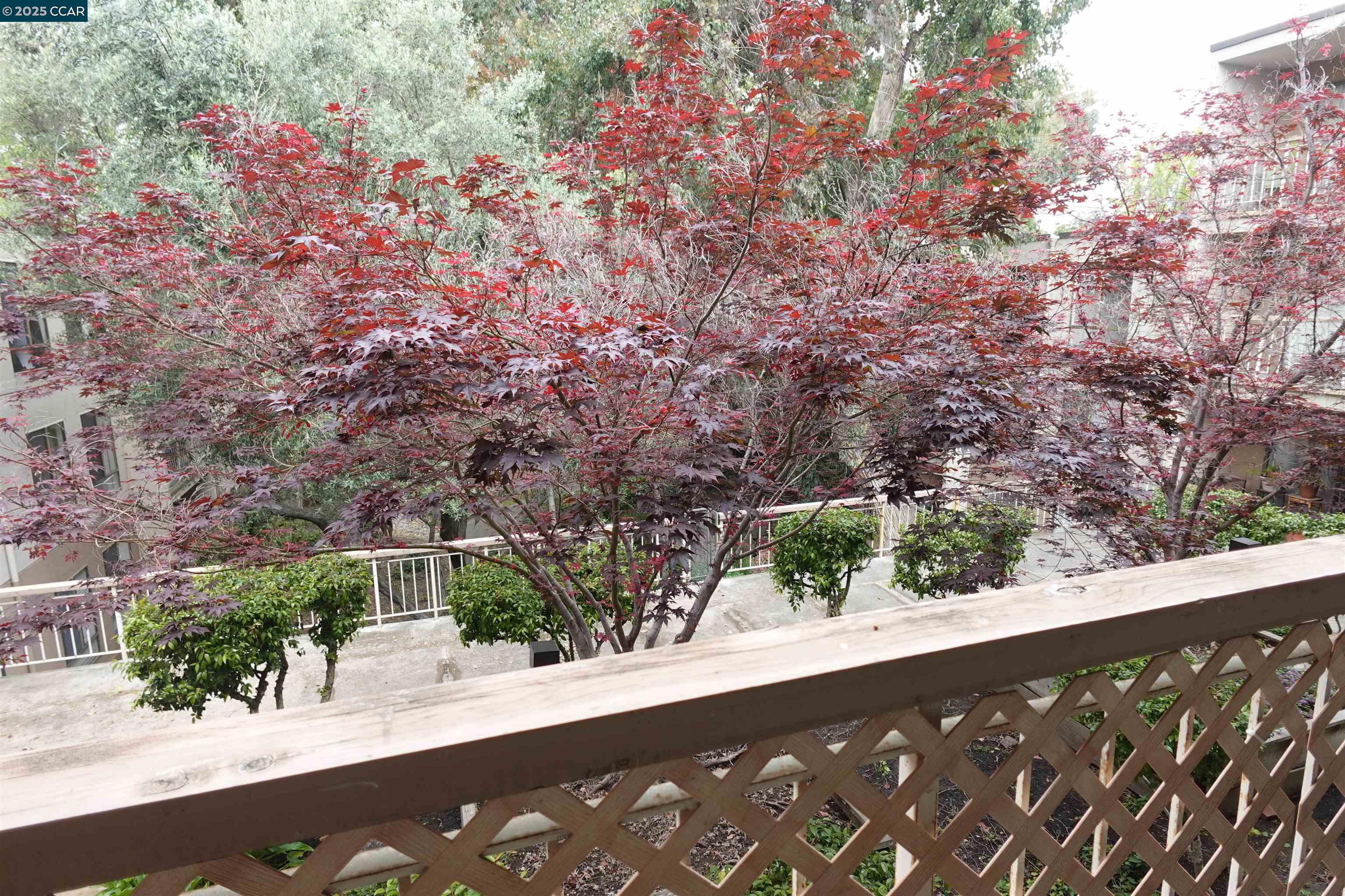410 N Civic Dr # 301, Walnut Creek, California 94596, 2 Bedrooms Bedrooms, 5 Rooms Rooms,2 BathroomsBathrooms,Residential Lease,For Rent,410 N Civic Dr # 301,41095153