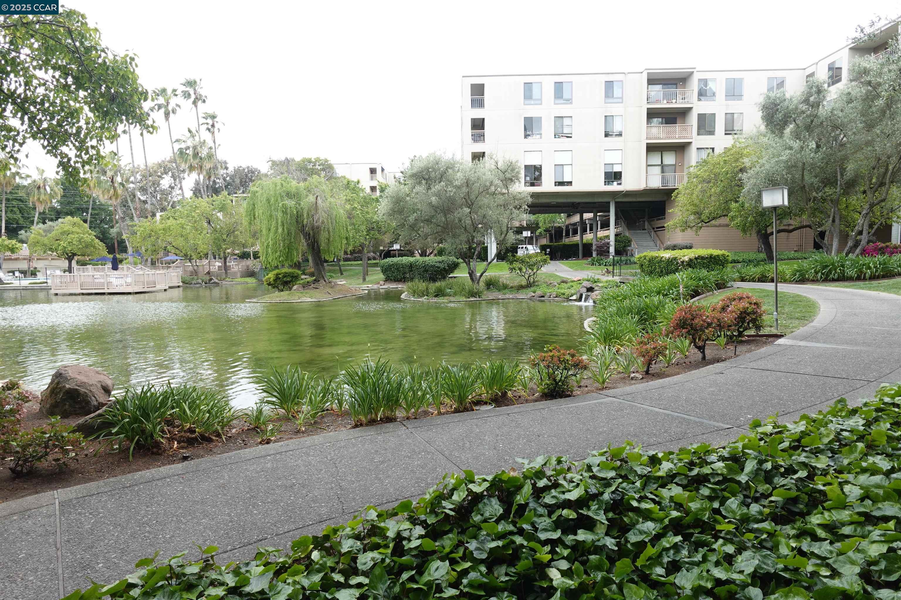 410 N Civic Dr # 301, Walnut Creek, California 94596, 2 Bedrooms Bedrooms, 5 Rooms Rooms,2 BathroomsBathrooms,Residential Lease,For Rent,410 N Civic Dr # 301,41095153