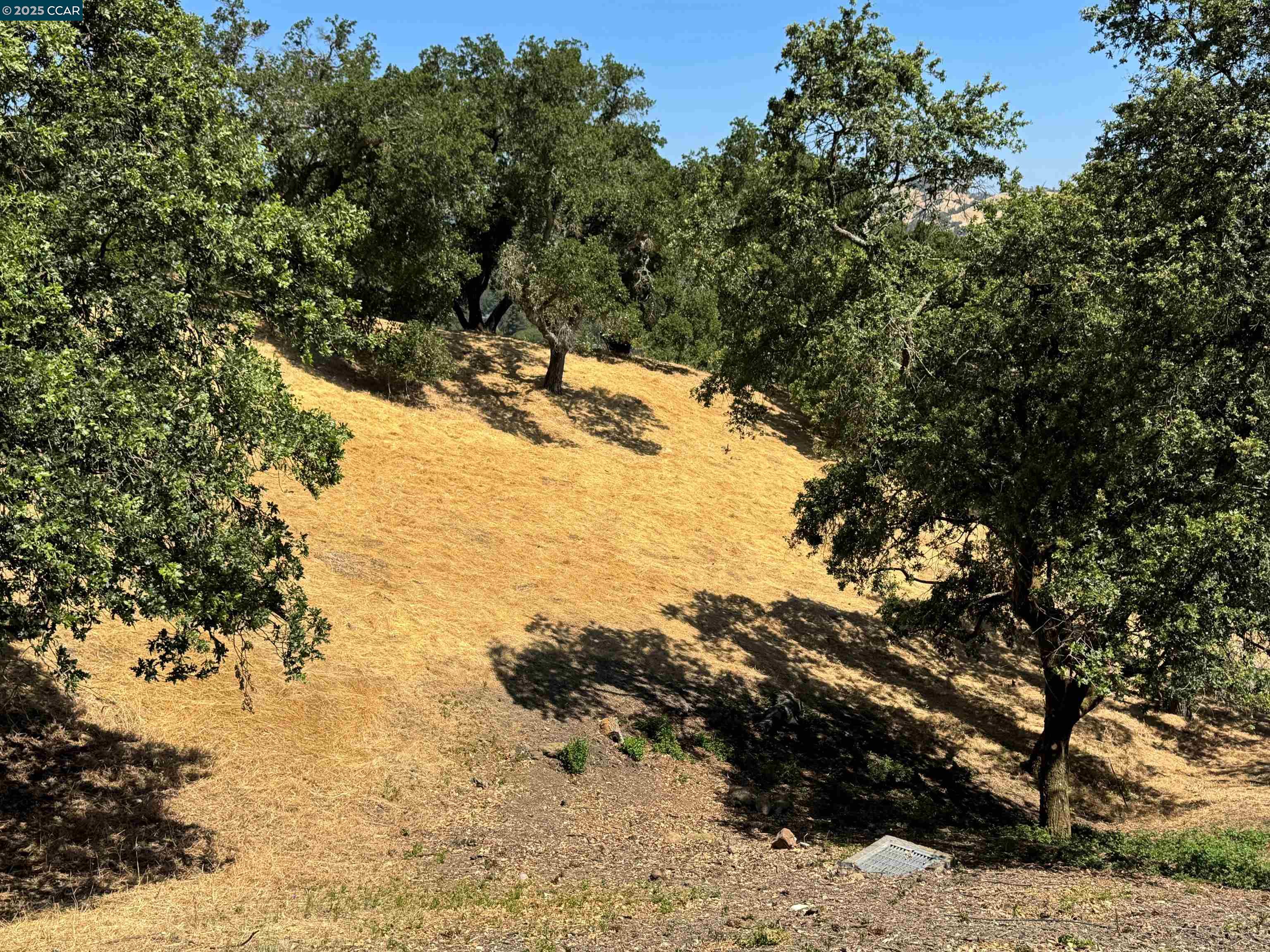 Detail Gallery Image 2 of 28 For 18 Diablo Oaks Way, Lafayette,  CA 94549-5117 - – Beds | – Baths