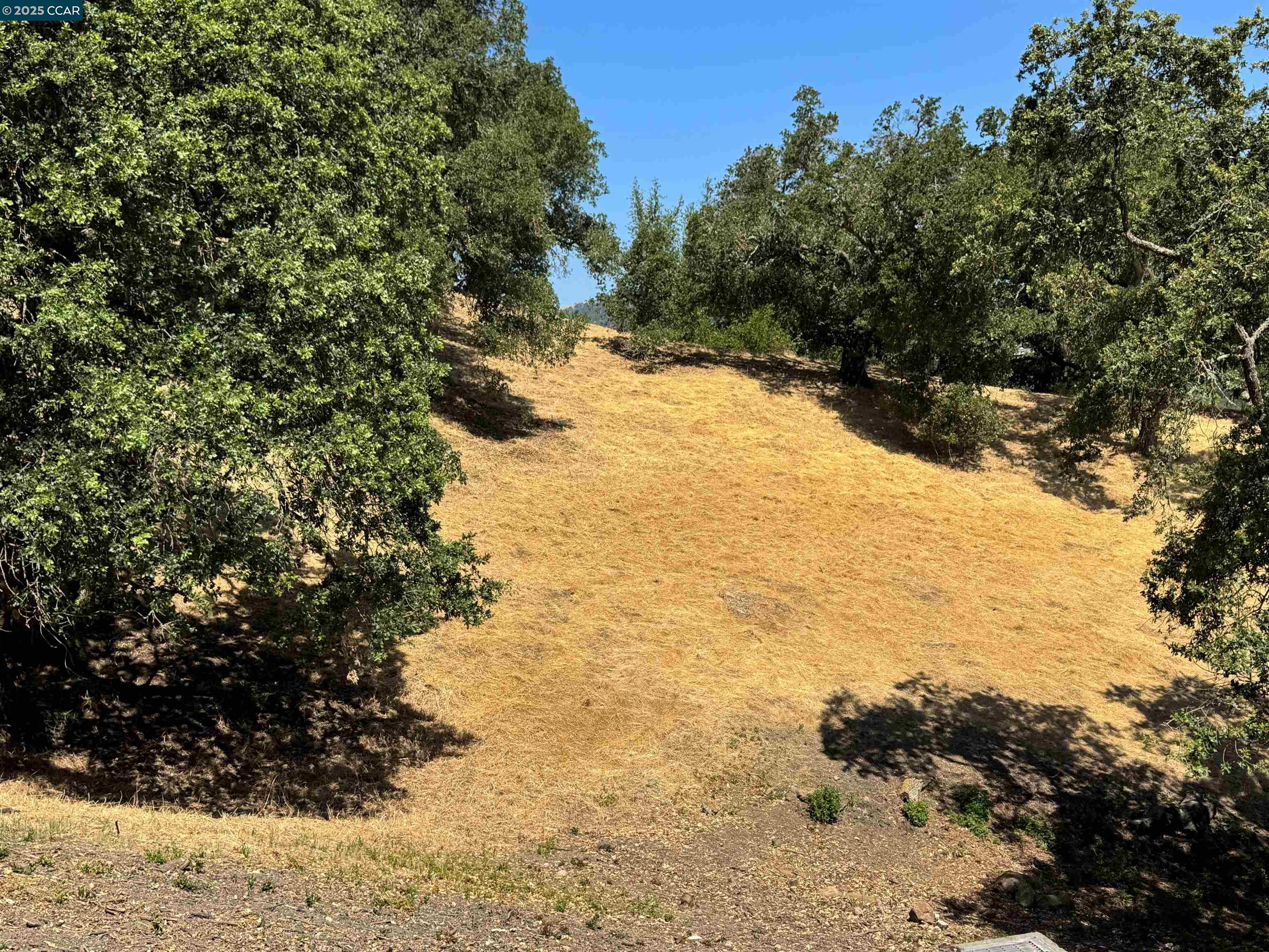 Detail Gallery Image 3 of 28 For 18 Diablo Oaks Way, Lafayette,  CA 94549-5117 - – Beds | – Baths