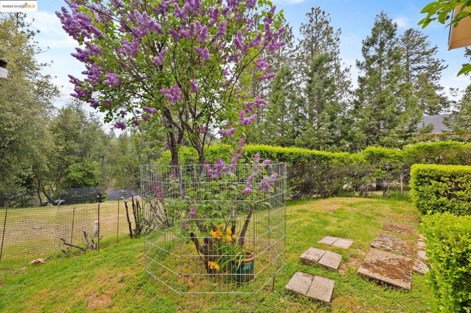 Detail Gallery Image 29 of 37 For 12632 Cresthaven Dr, Groveland,  CA 95321 - 3 Beds | 2 Baths
