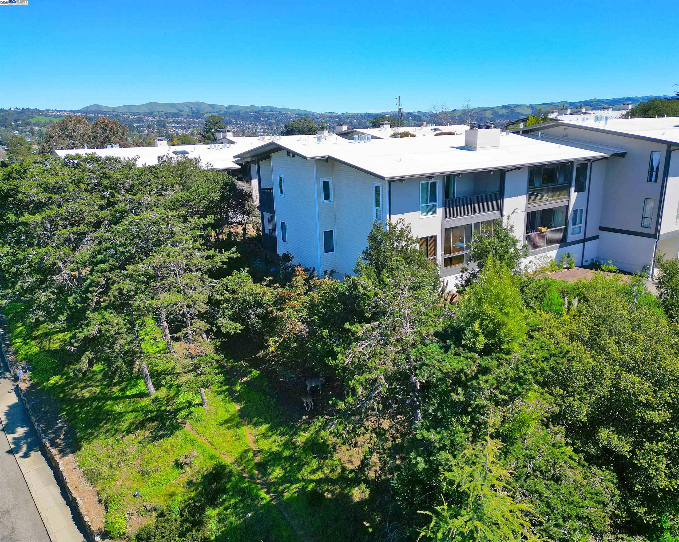 Detail Gallery Image 31 of 39 For 19100 Crest Ave #23,  Castro Valley,  CA 94546 - 2 Beds | 1 Baths