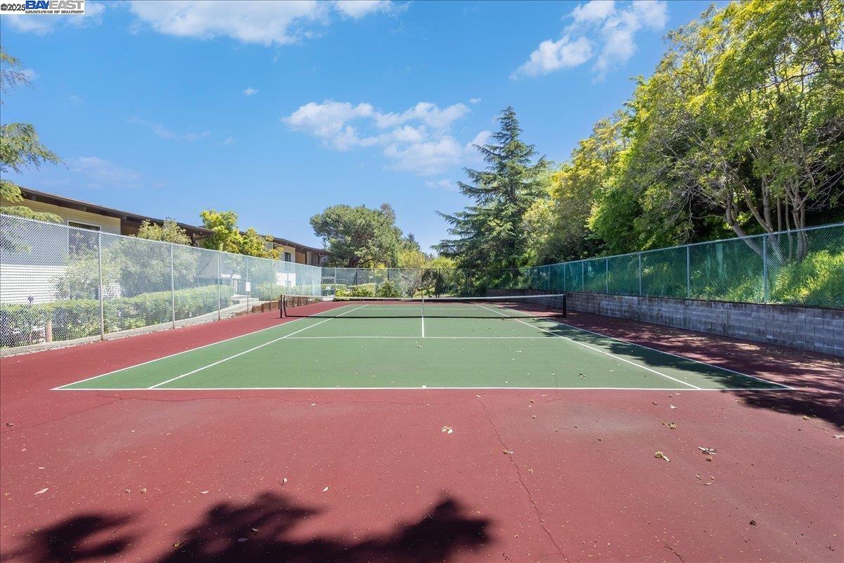 Photo #39: 41095177 Listing: Photo #39